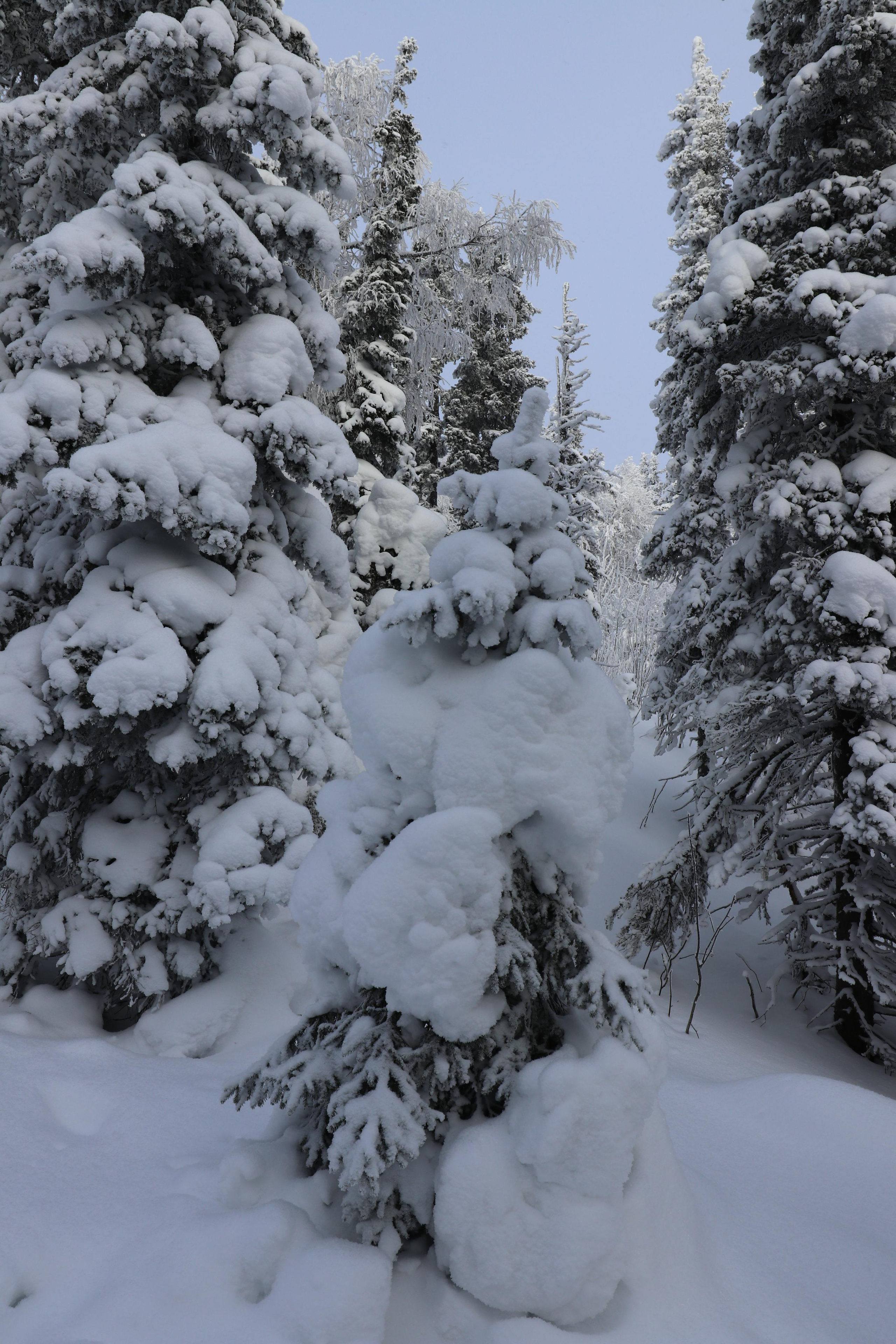 Хребет Большой Таганай. Путешественник-фотограф из Санкт-Петербурга Татьяна Свистулина