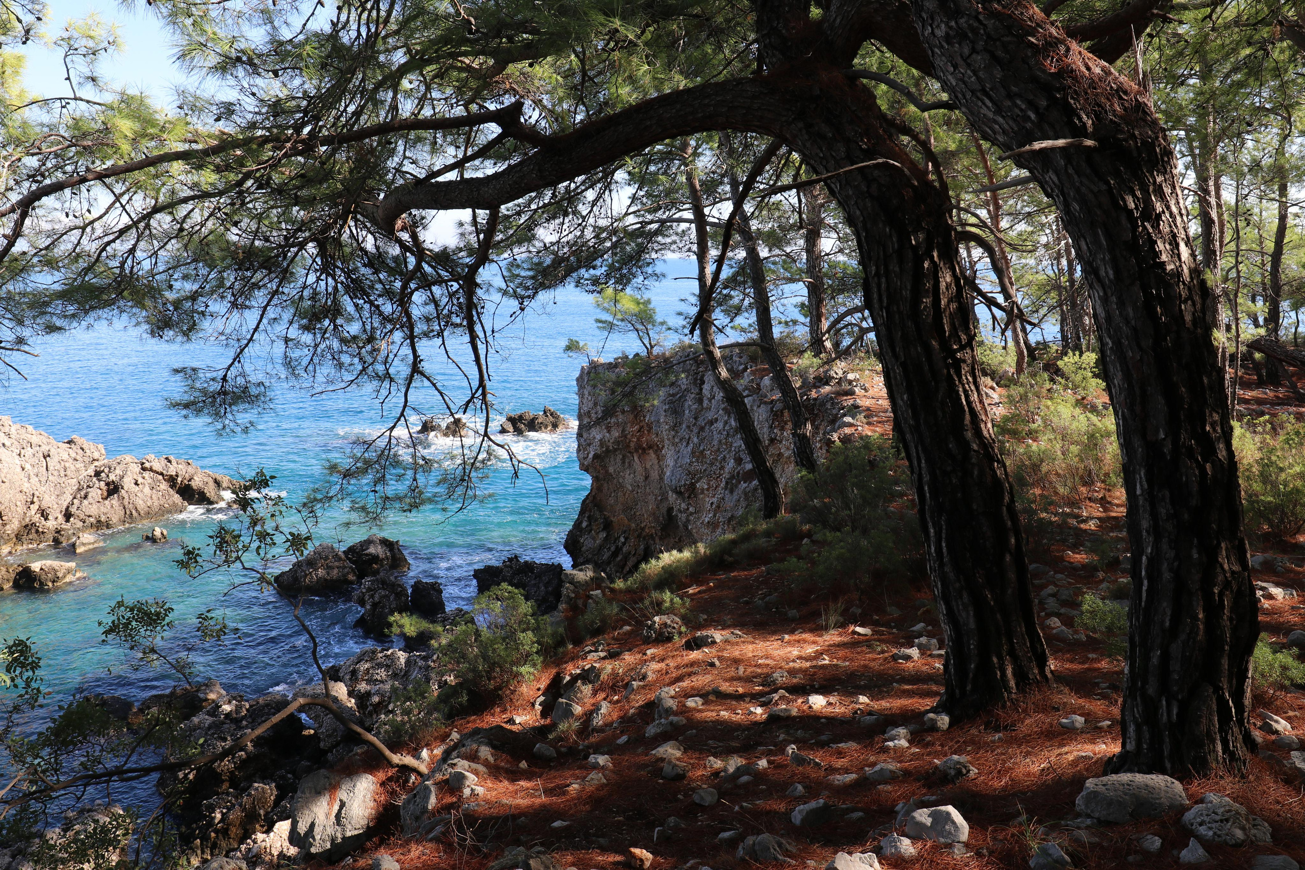 Турция. Чиралы. Ноябрь 2021. Путешественник-фотограф из Санкт-Петербурга Татьяна Свистулина