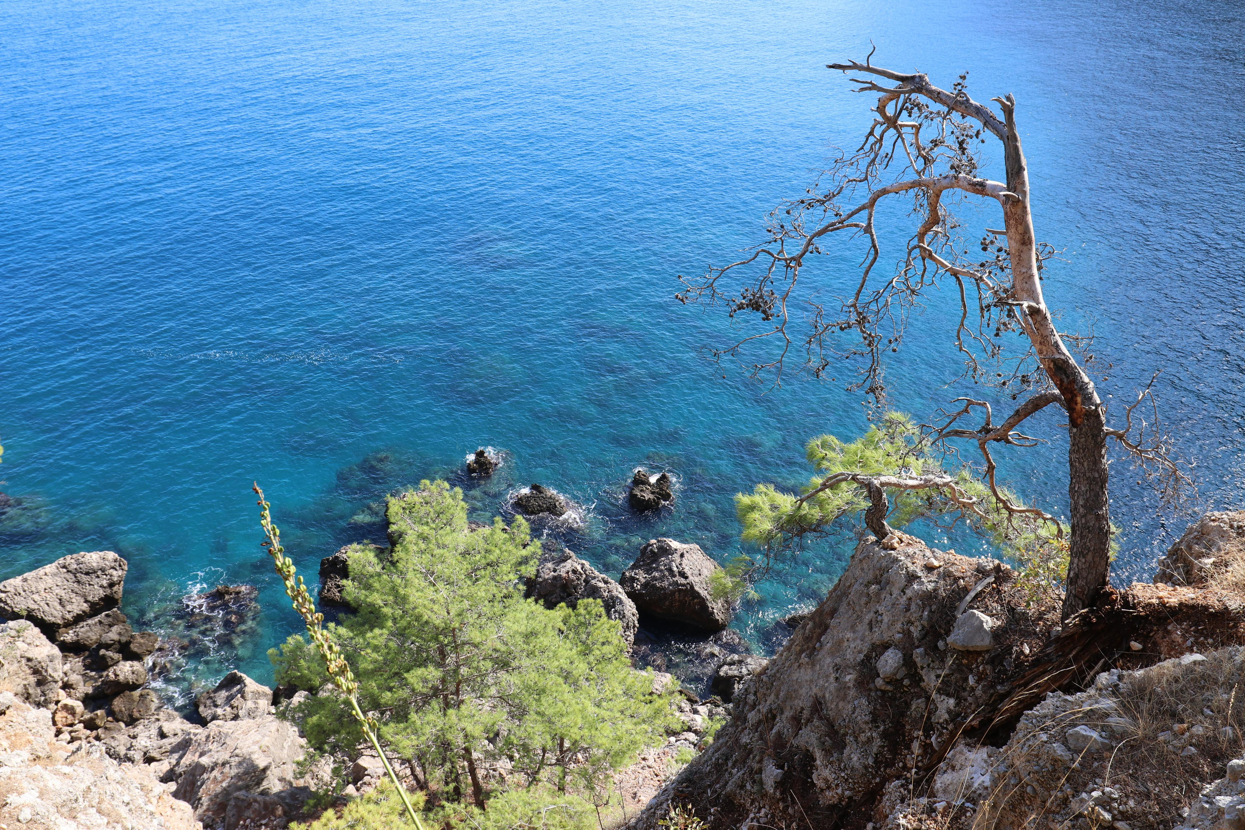 Турция. Чиралы. Ноябрь 2021. Путешественник-фотограф из Санкт-Петербурга Татьяна Свистулина