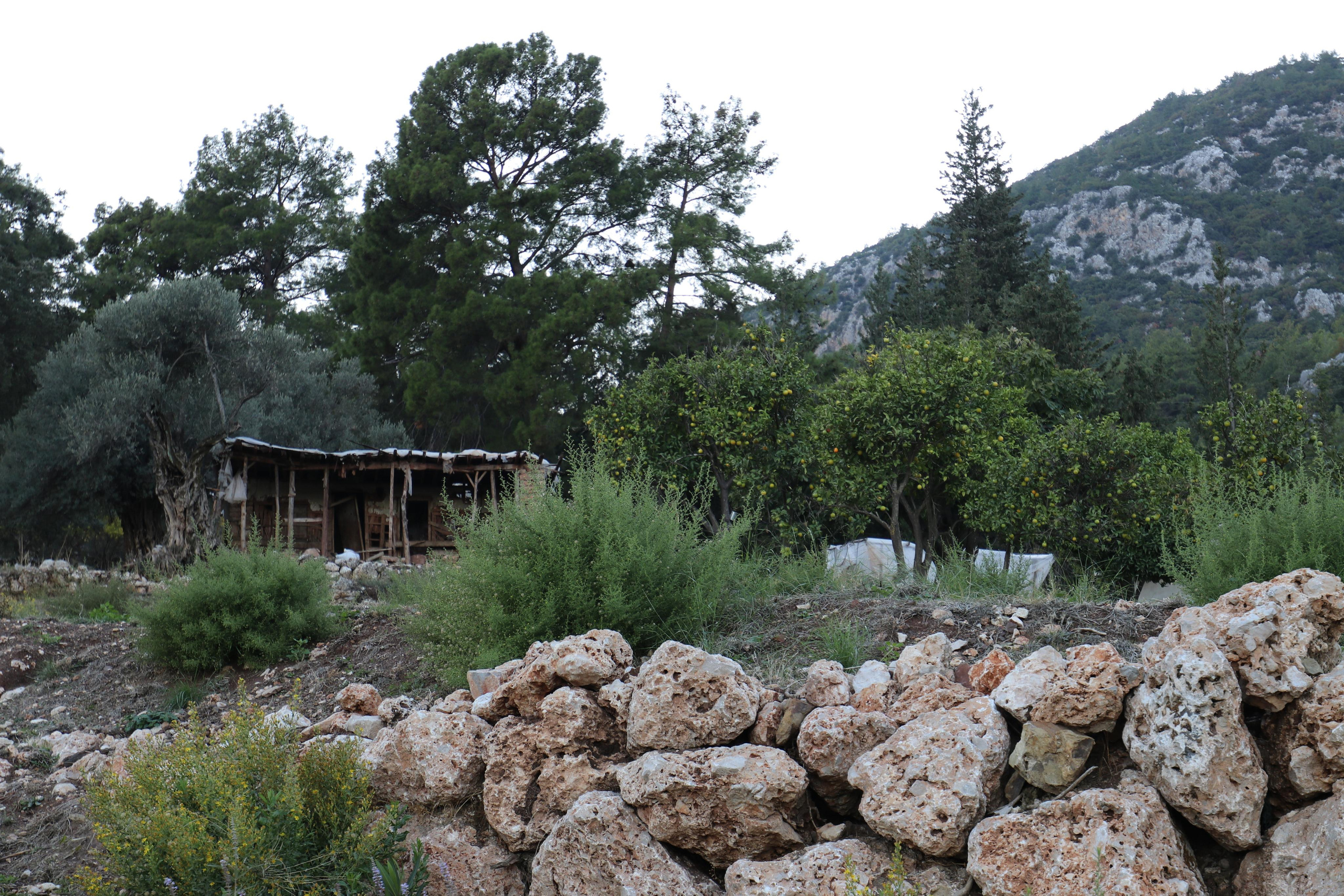 Турция. Чиралы. Ноябрь 2021. Путешественник-фотограф из Санкт-Петербурга Татьяна Свистулина