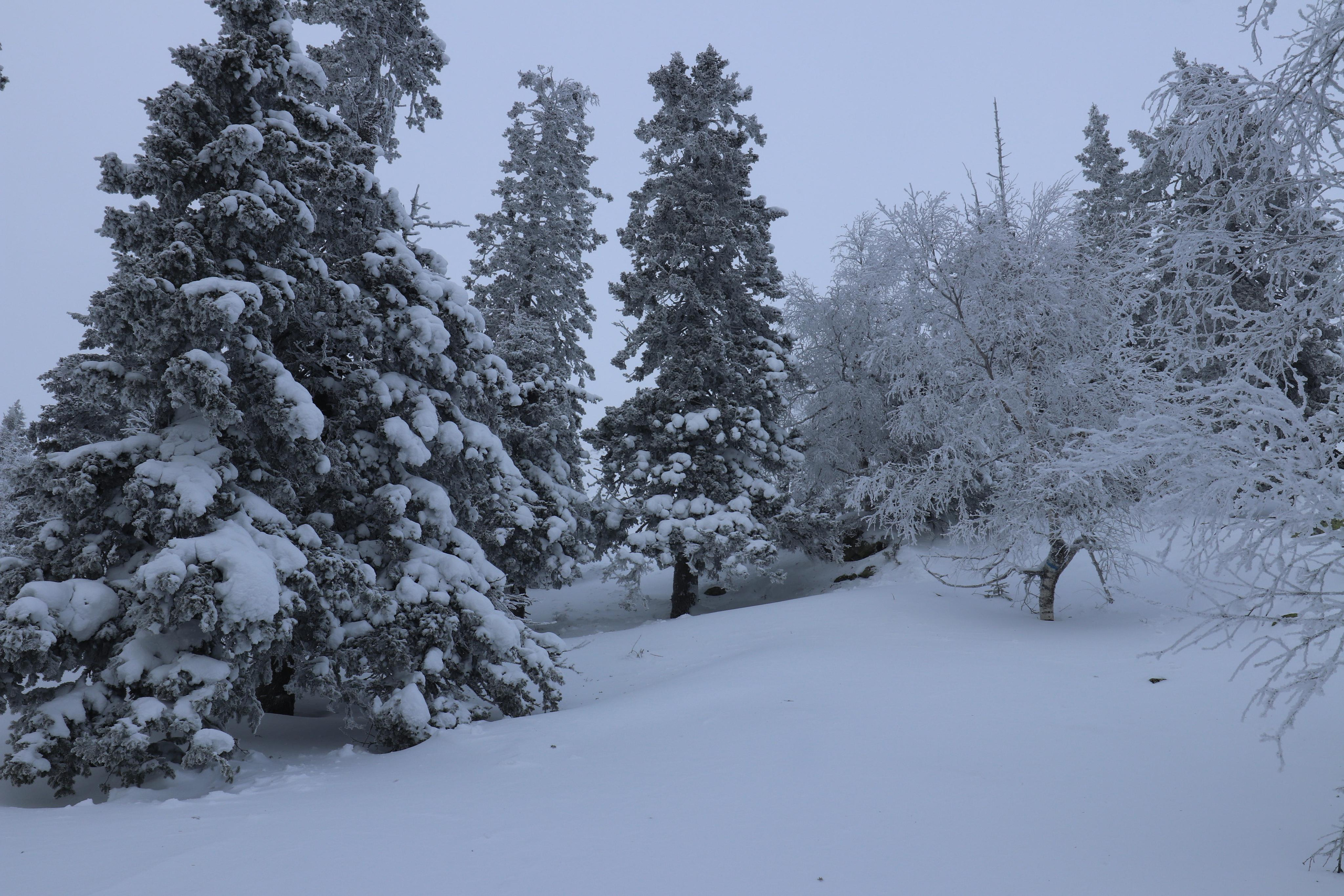 Хребет Большой Таганай. Путешественник-фотограф из Санкт-Петербурга Татьяна Свистулина