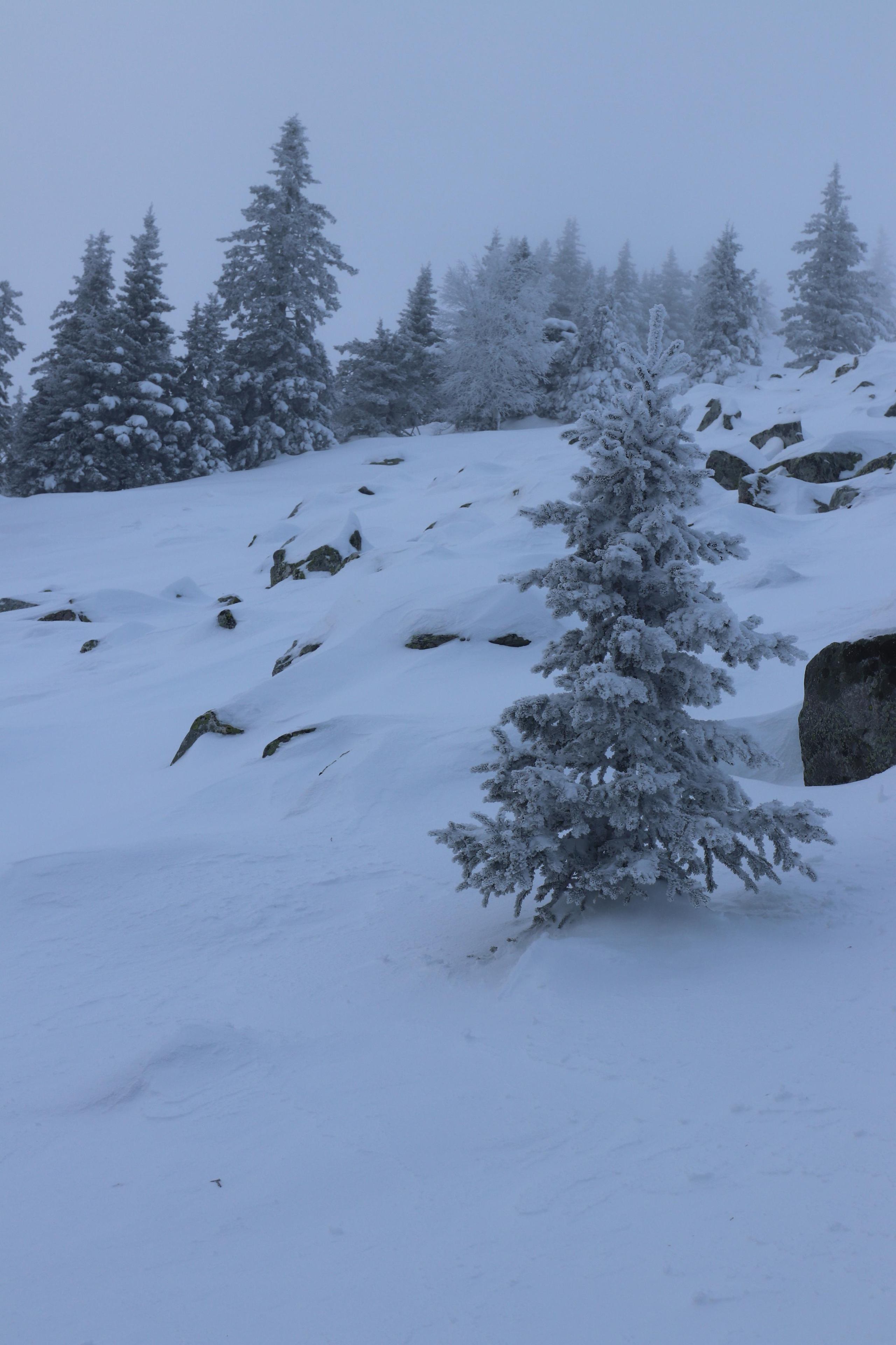 Хребет Большой Таганай. Путешественник-фотограф из Санкт-Петербурга Татьяна Свистулина