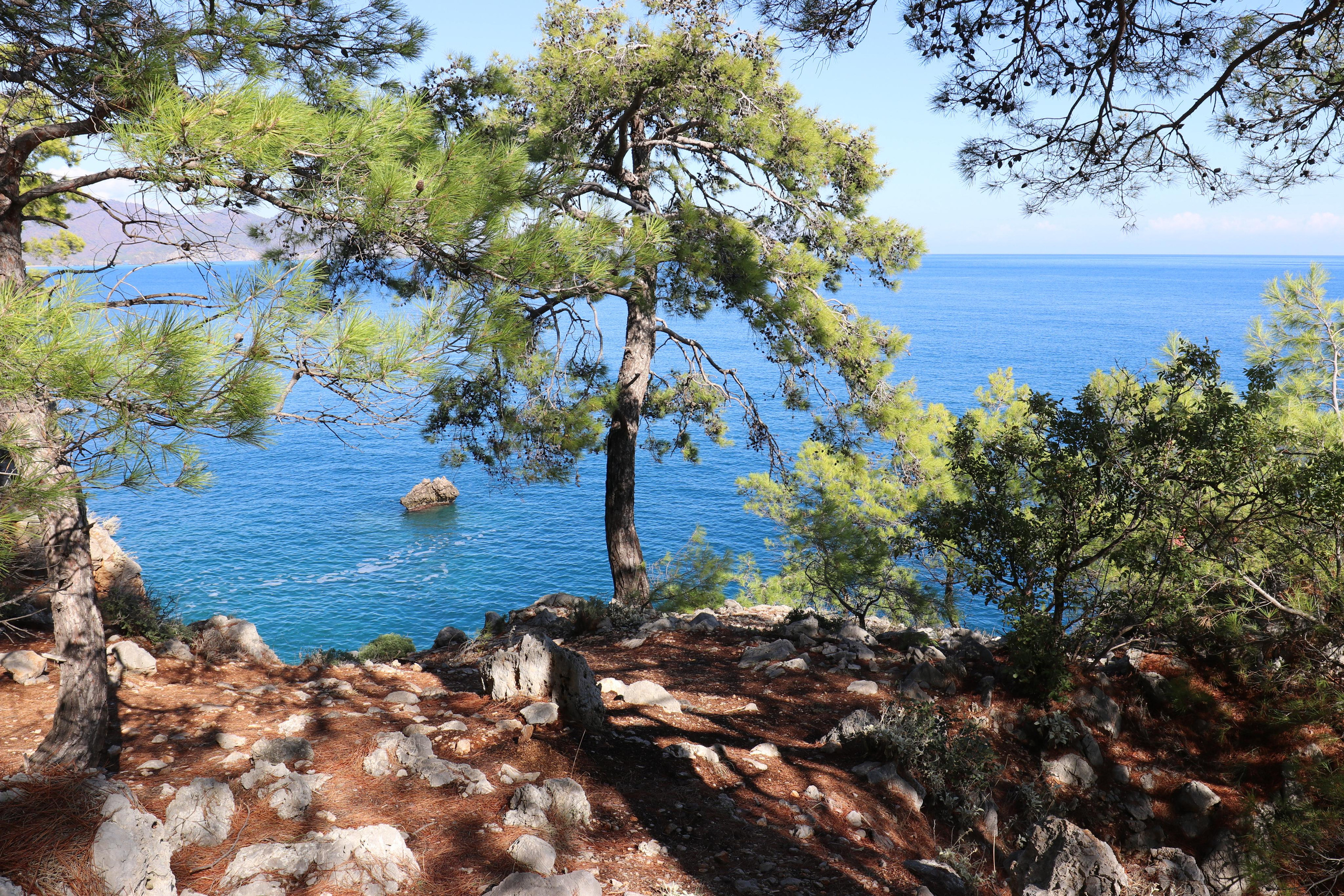 Турция. Чиралы. Ноябрь 2021. Путешественник-фотограф из Санкт-Петербурга Татьяна Свистулина