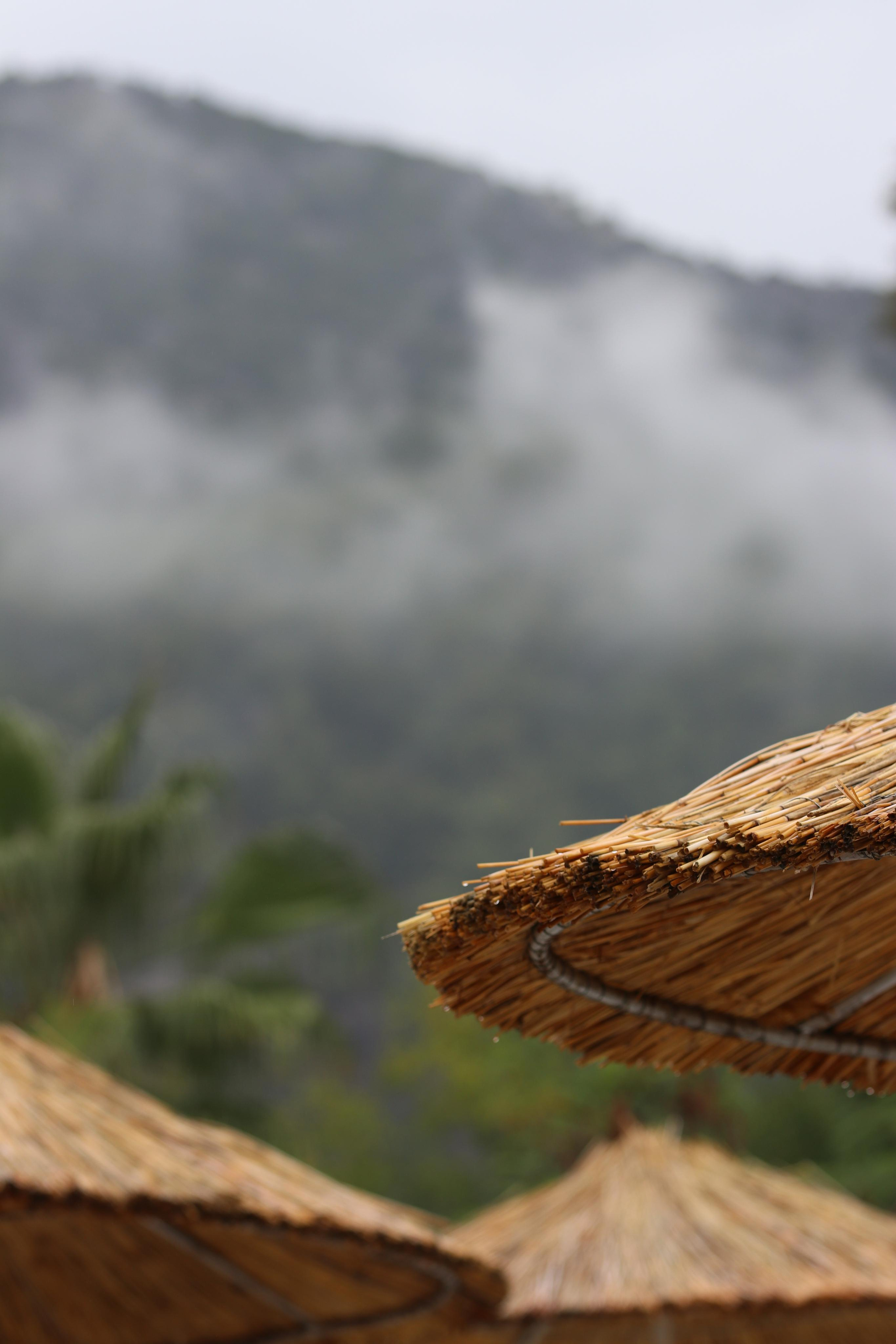 Турция. Чиралы. Ноябрь 2021. Путешественник-фотограф из Санкт-Петербурга Татьяна Свистулина