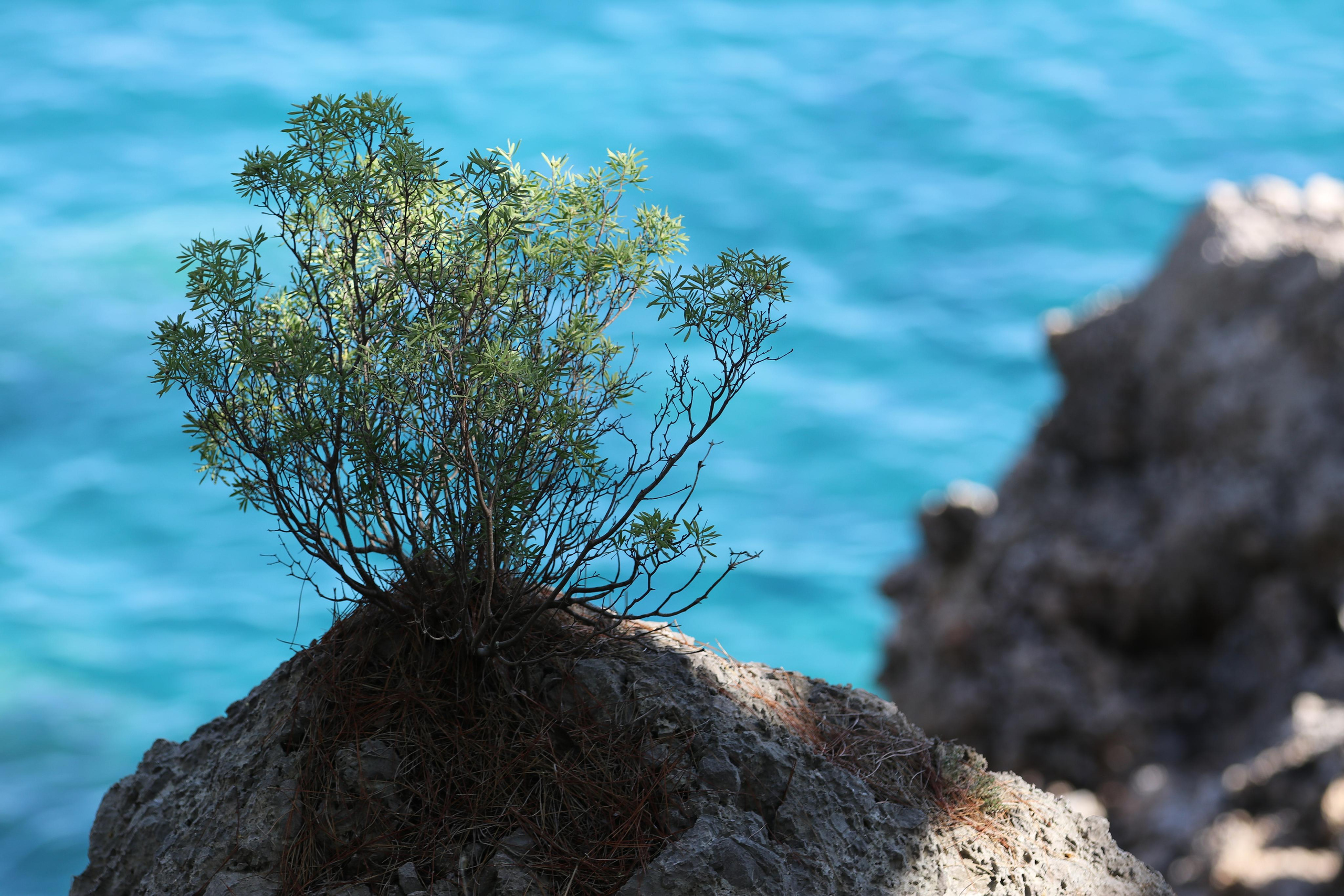 Турция. Чиралы. Ноябрь 2021. Путешественник-фотограф из Санкт-Петербурга Татьяна Свистулина
