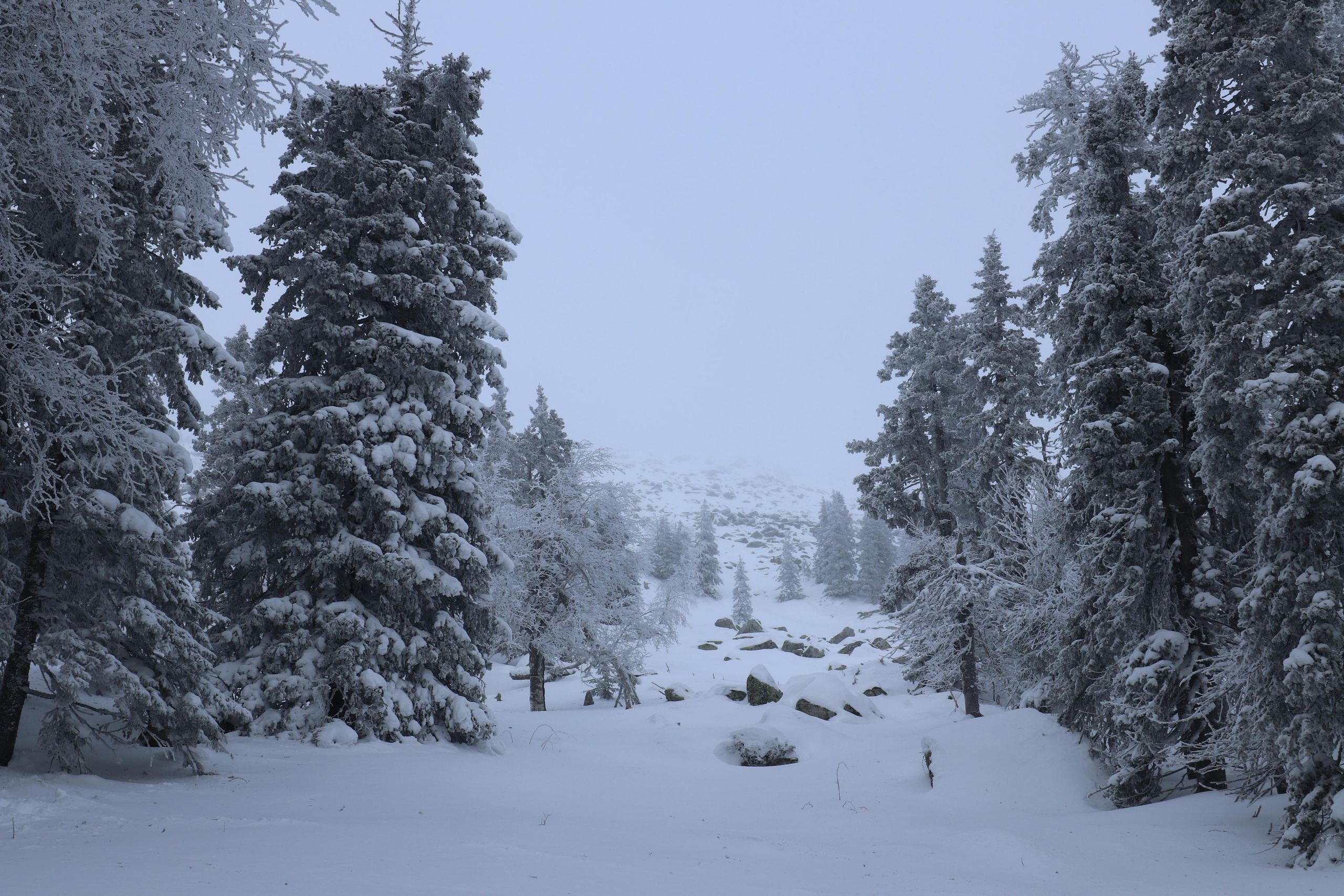 Хребет Большой Таганай. Путешественник-фотограф из Санкт-Петербурга Татьяна Свистулина