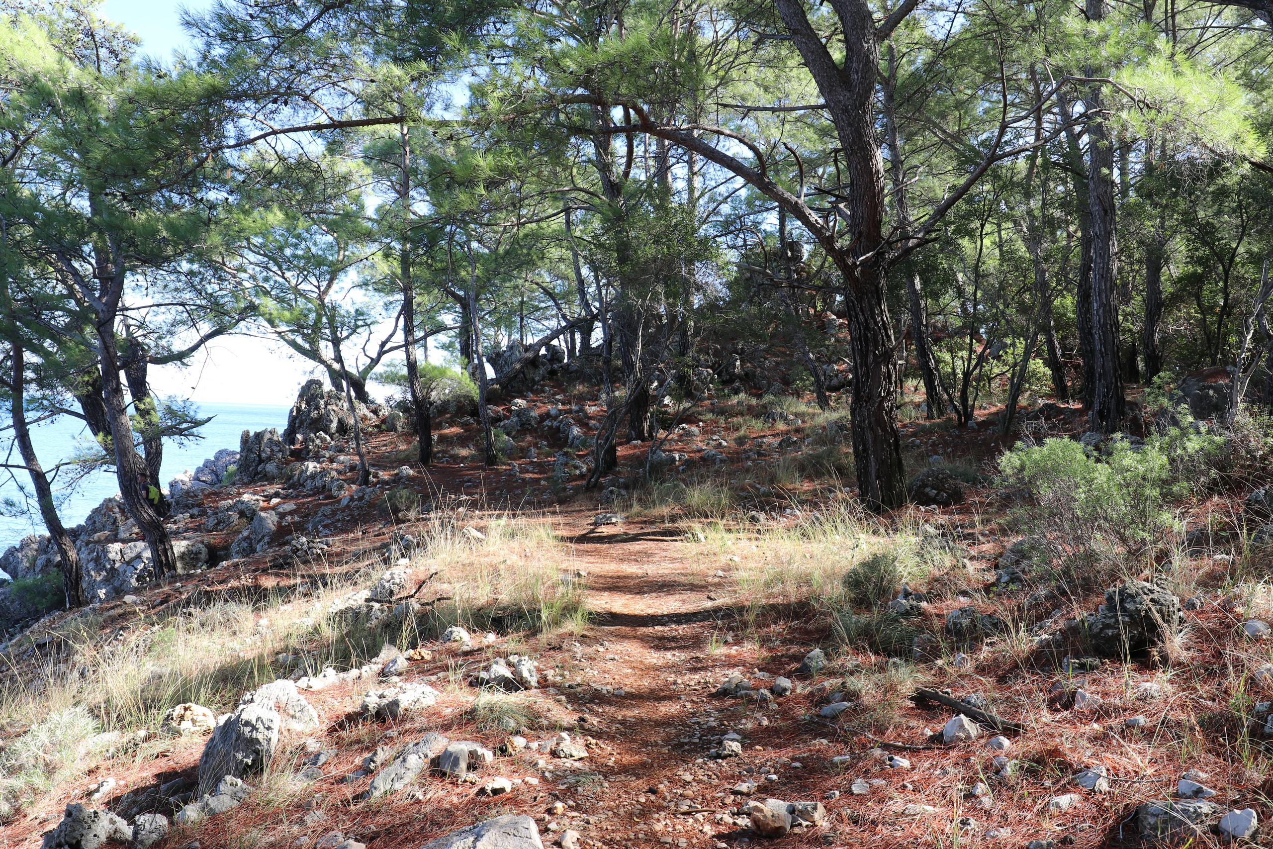 Турция. Чиралы. Ноябрь 2021. Путешественник-фотограф из Санкт-Петербурга Татьяна Свистулина
