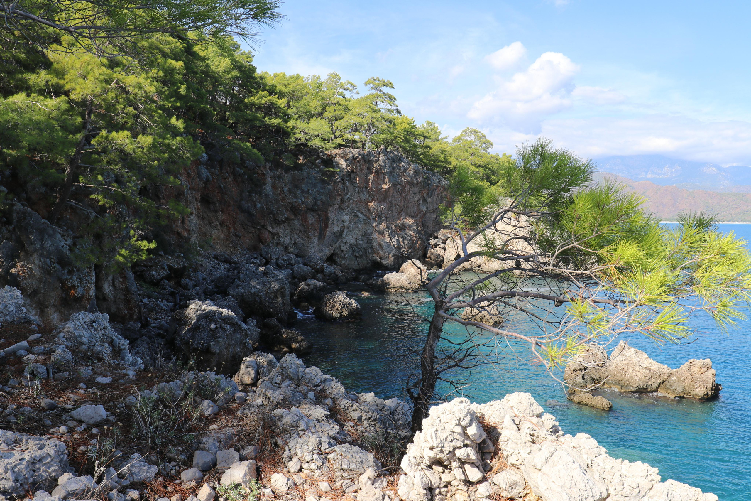 Турция. Чиралы. Ноябрь 2021. Путешественник-фотограф из Санкт-Петербурга Татьяна Свистулина
