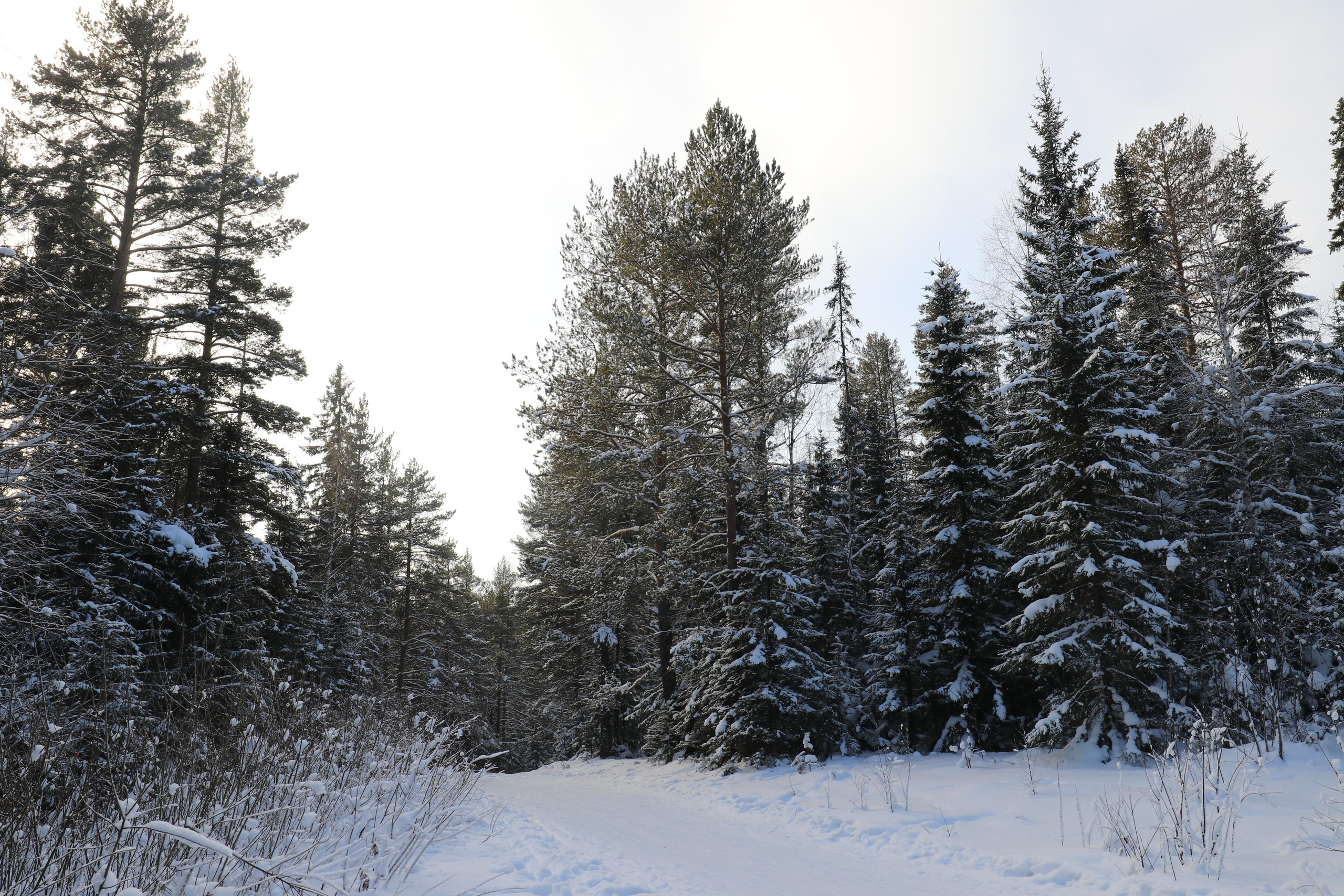Хребет Большой Таганай. Путешественник-фотограф из Санкт-Петербурга Татьяна Свистулина