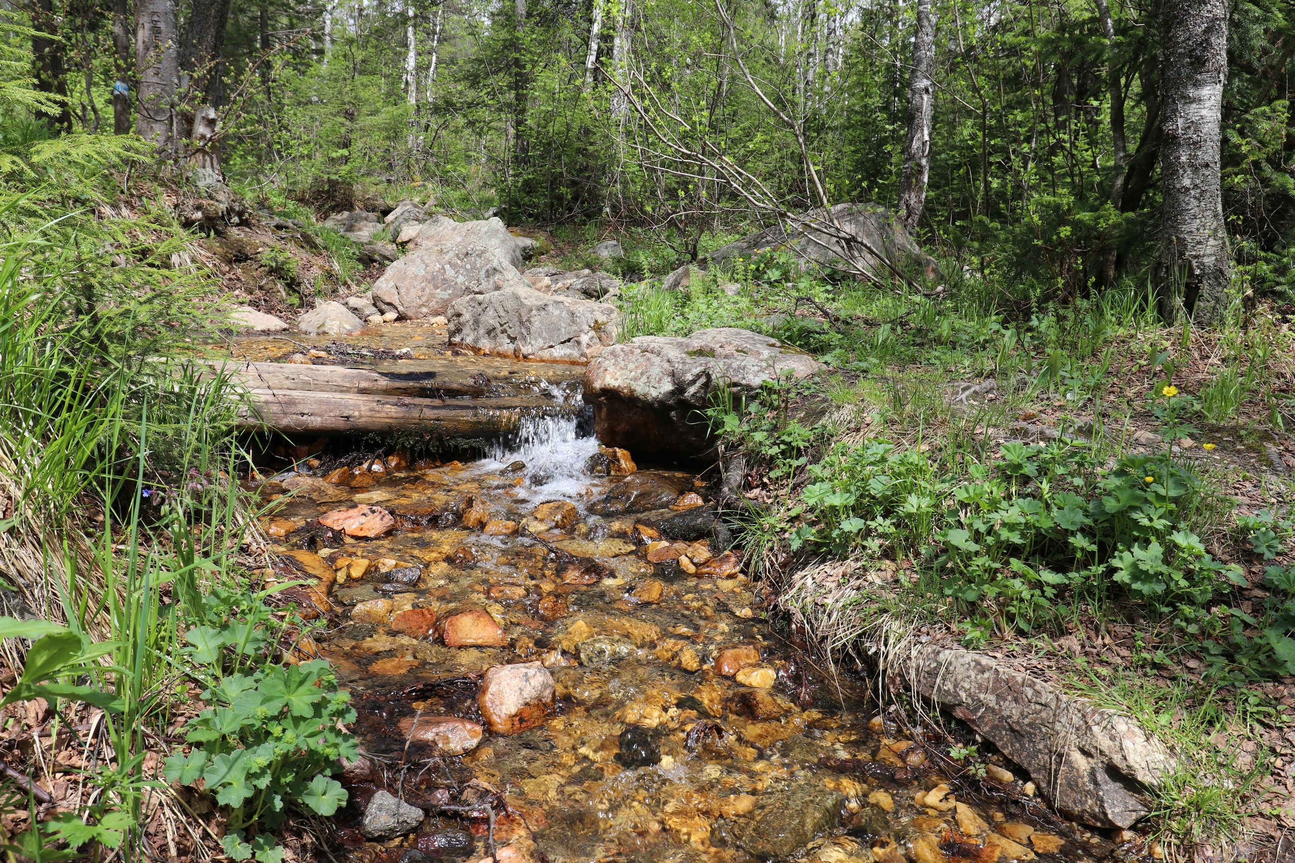 Хребет Большой Таганай. Путешественник-фотограф из Санкт-Петербурга Татьяна Свистулина