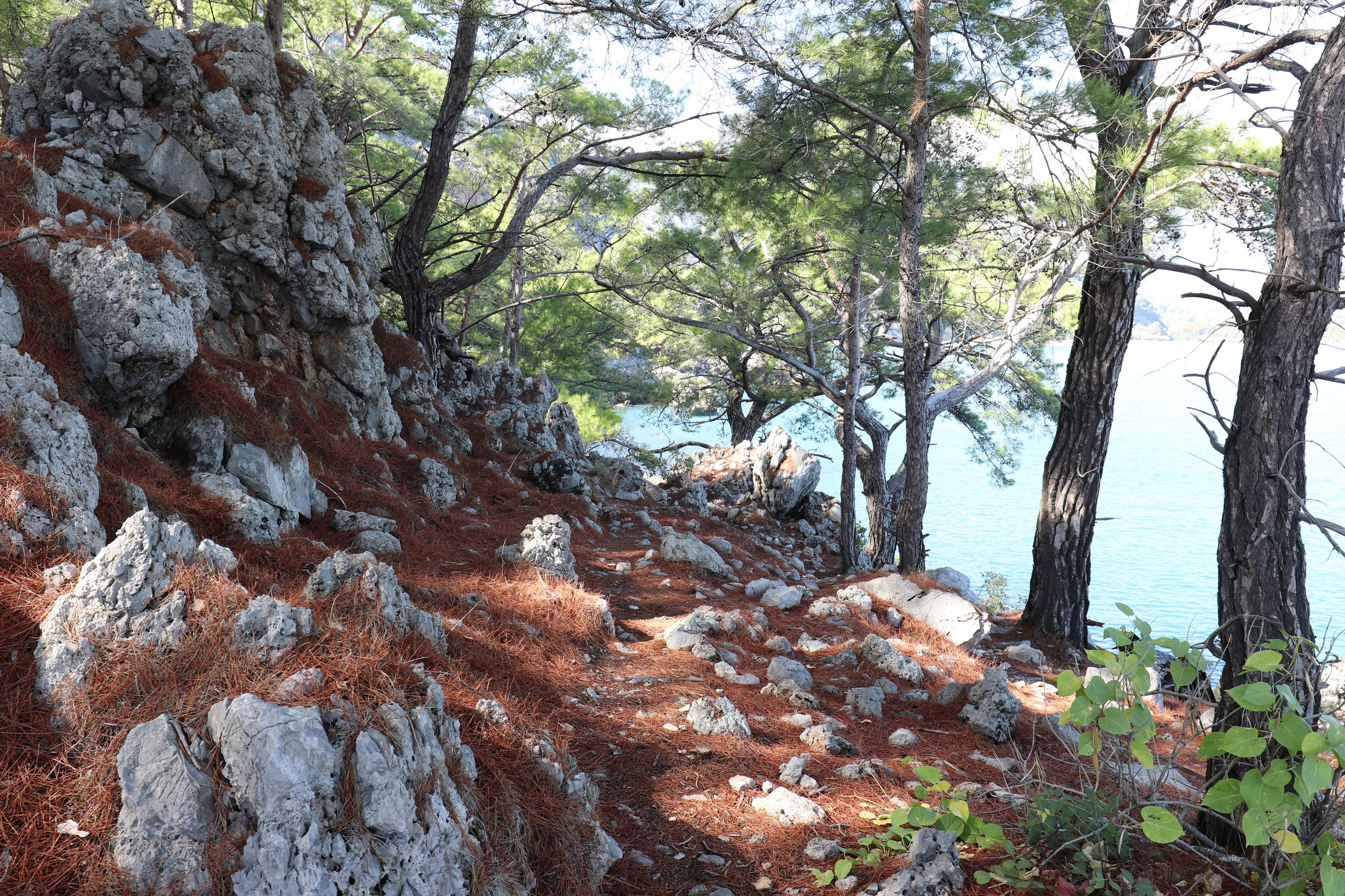 Турция. Чиралы. Ноябрь 2021. Путешественник-фотограф из Санкт-Петербурга Татьяна Свистулина