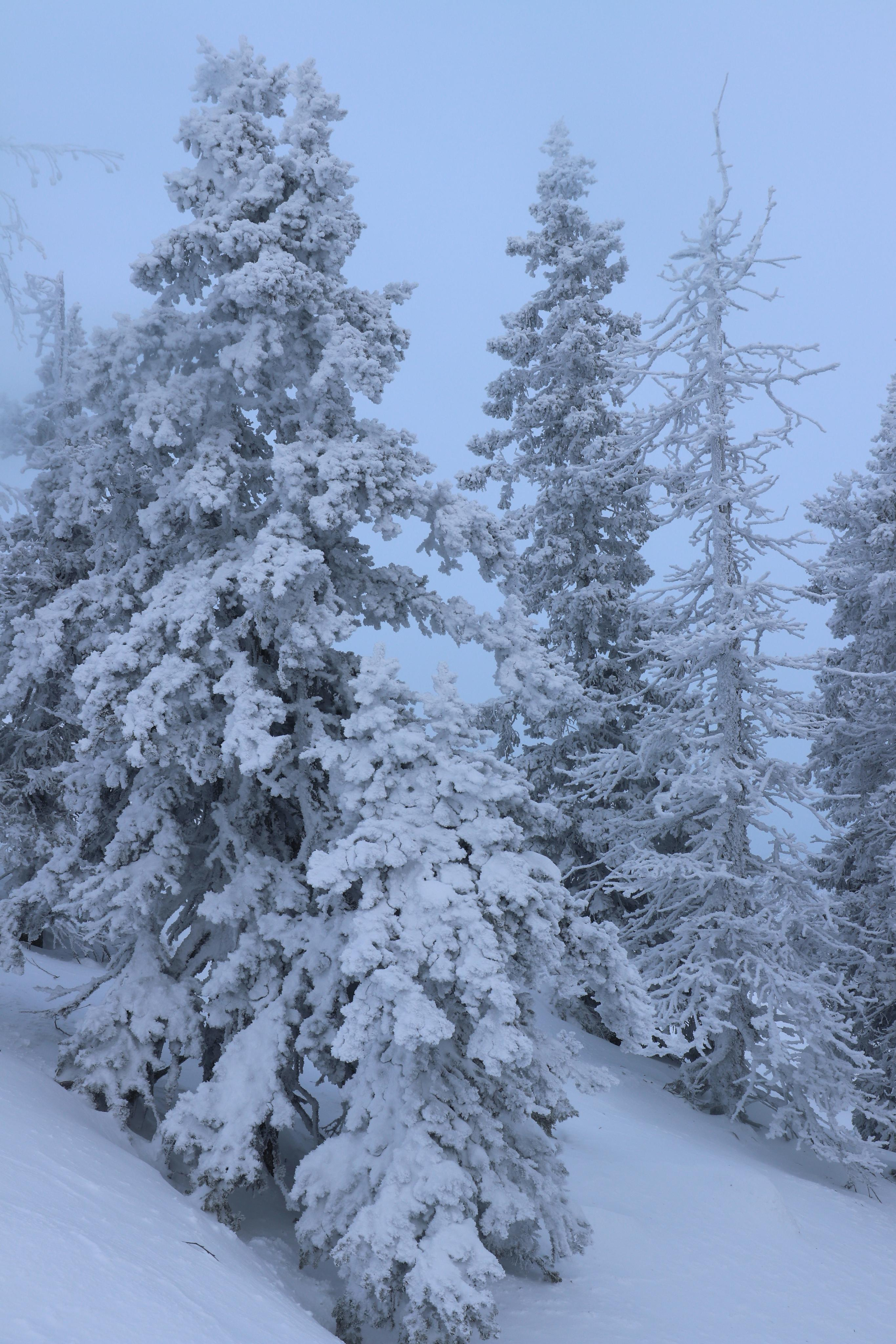 Хребет Большой Таганай. Путешественник-фотограф из Санкт-Петербурга Татьяна Свистулина