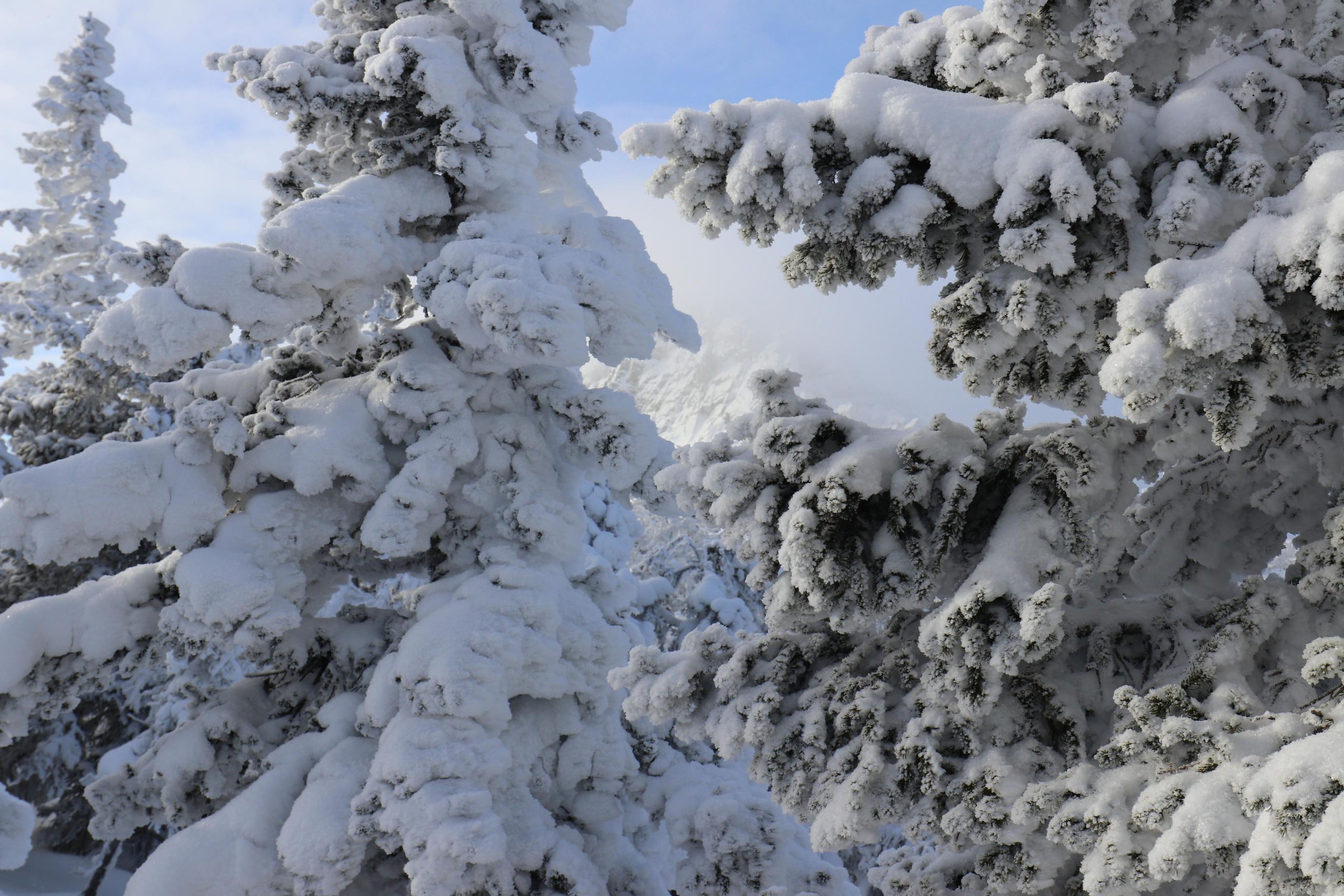 Хребет Большой Таганай. Путешественник-фотограф из Санкт-Петербурга Татьяна Свистулина