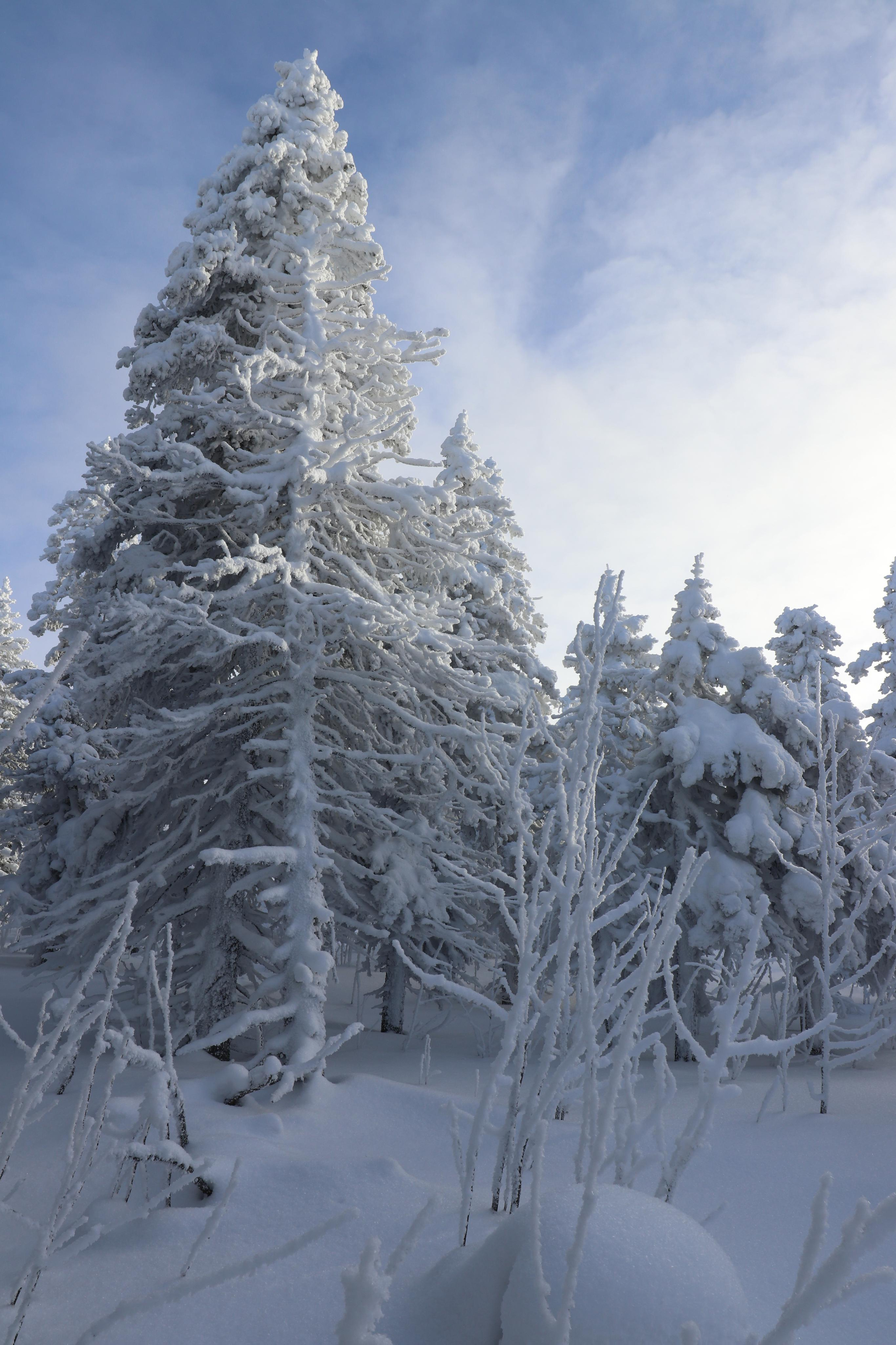 Хребет Большой Таганай. Путешественник-фотограф из Санкт-Петербурга Татьяна Свистулина