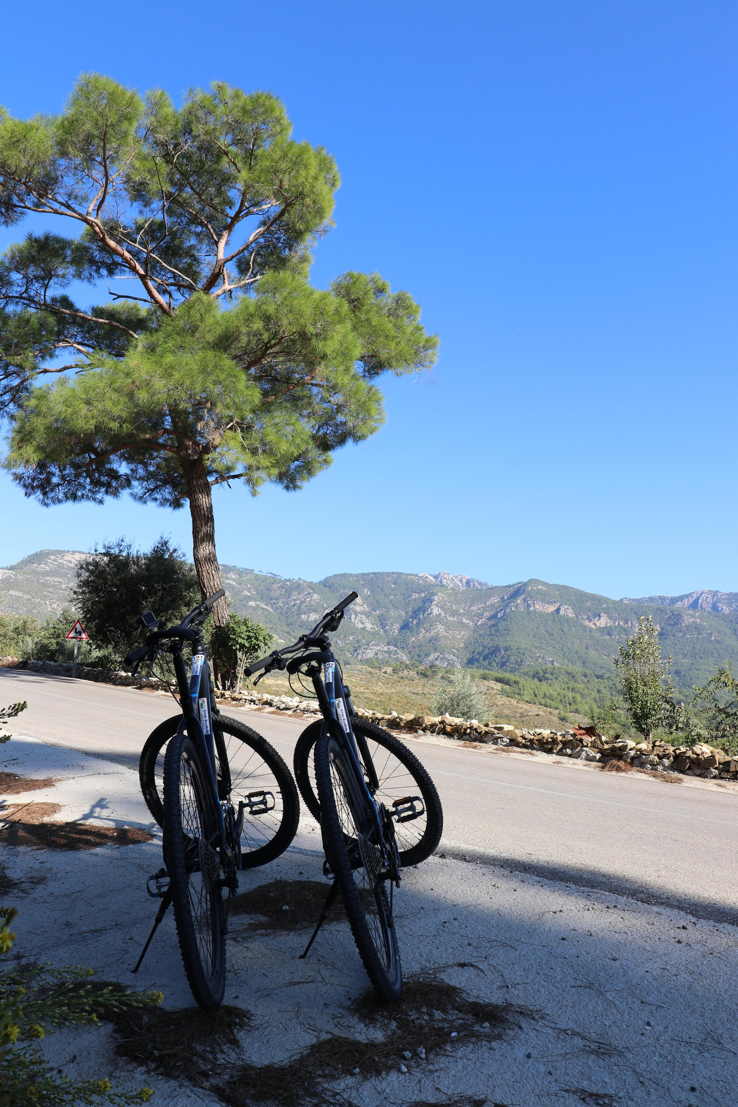 Турция. Чиралы. Ноябрь 2021. Путешественник-фотограф из Санкт-Петербурга Татьяна Свистулина