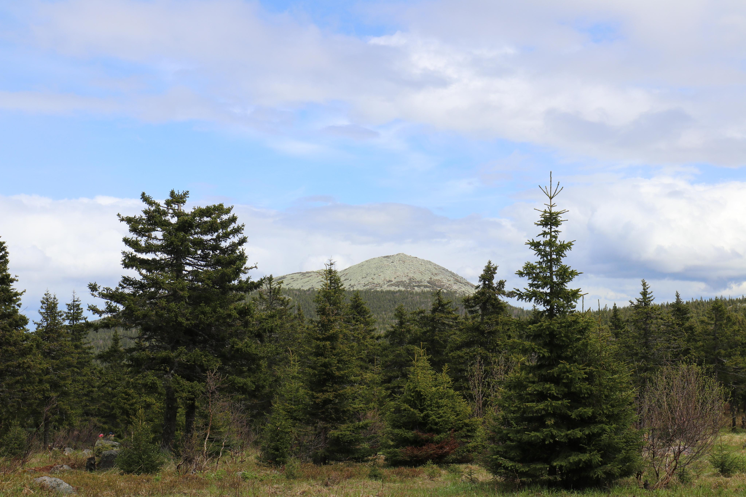 Хребет Большой Таганай. Путешественник-фотограф из Санкт-Петербурга Татьяна Свистулина