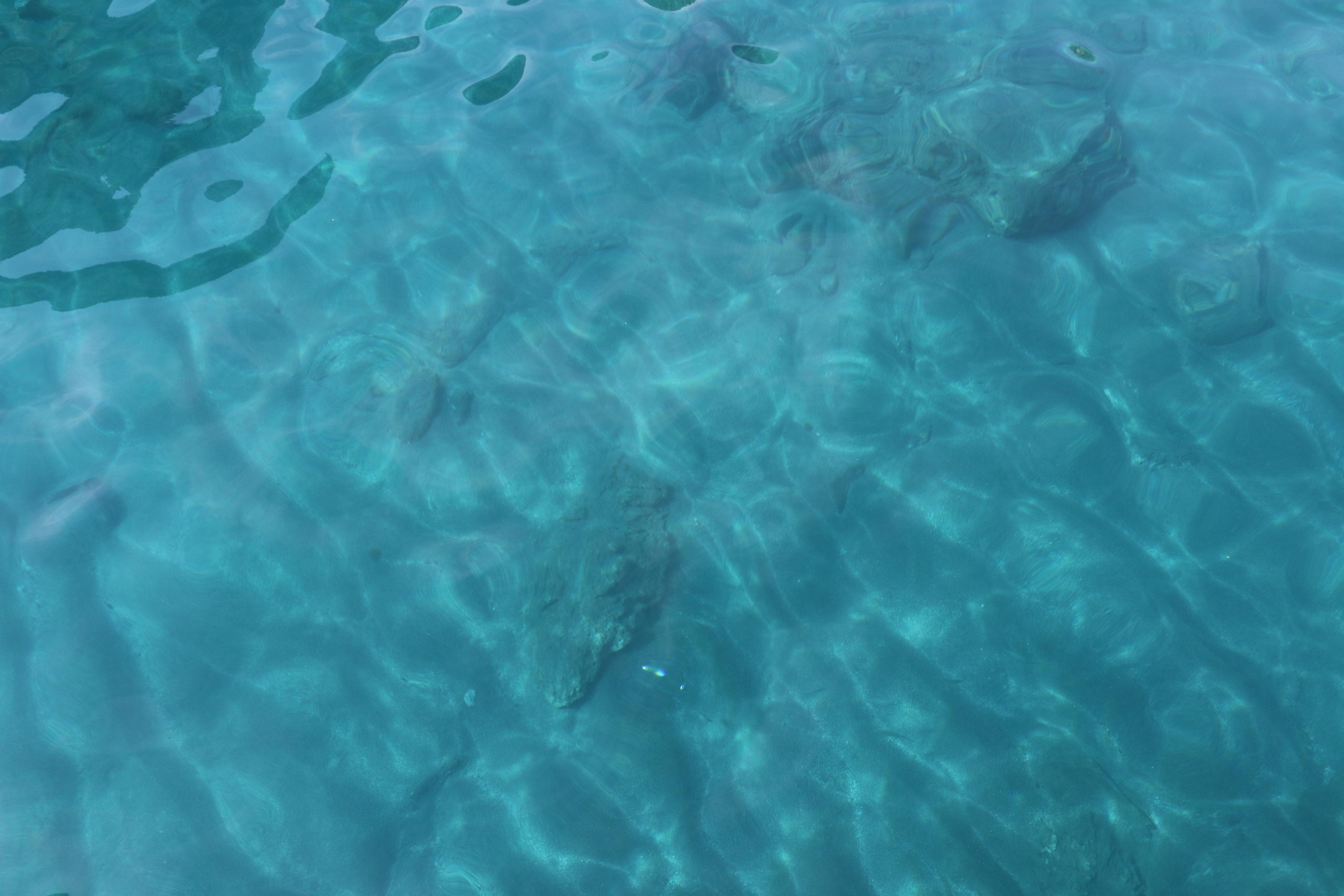 Турция. Чиралы. Ноябрь 2021. Путешественник-фотограф из Санкт-Петербурга Татьяна Свистулина