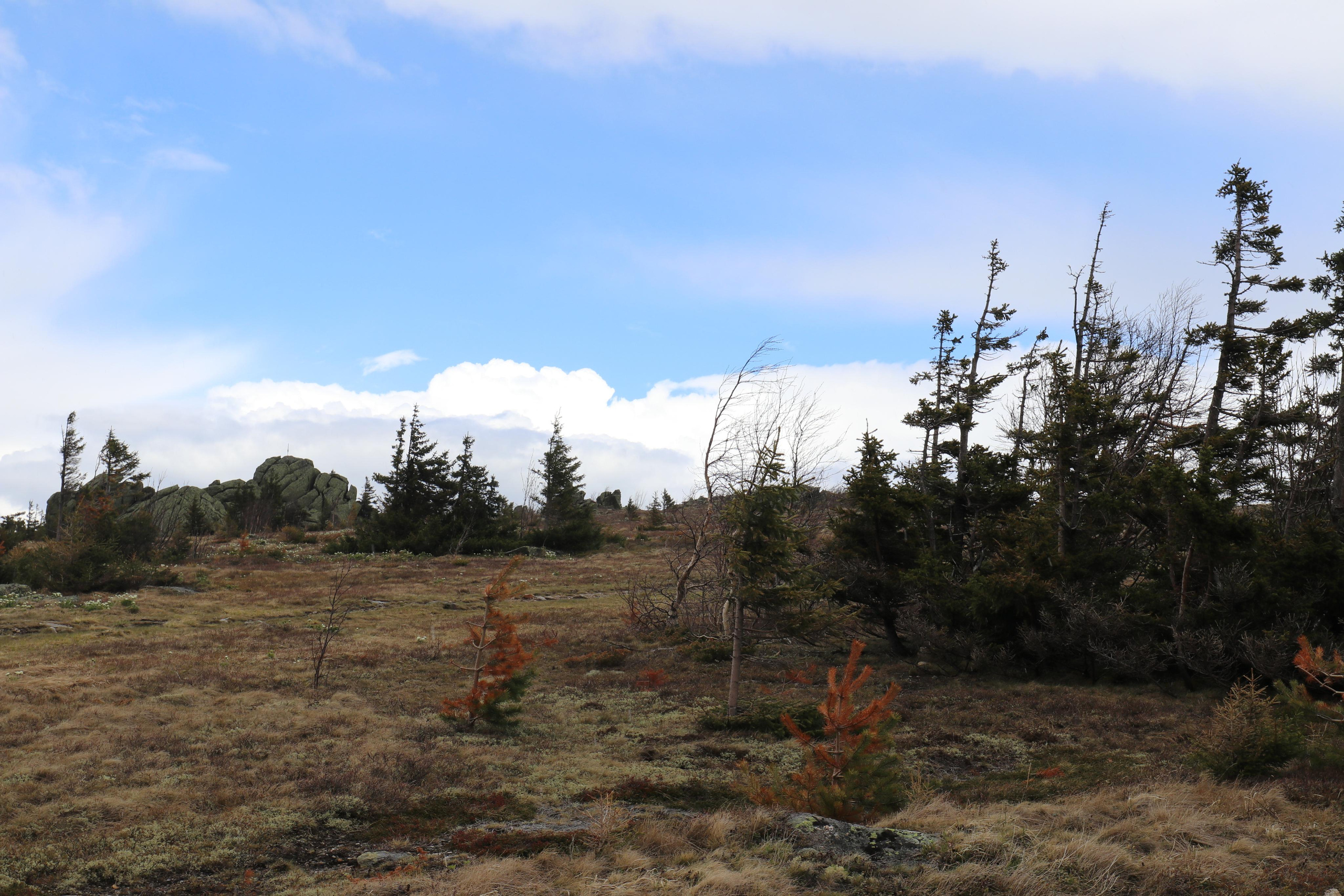Хребет Большой Таганай. Путешественник-фотограф из Санкт-Петербурга Татьяна Свистулина