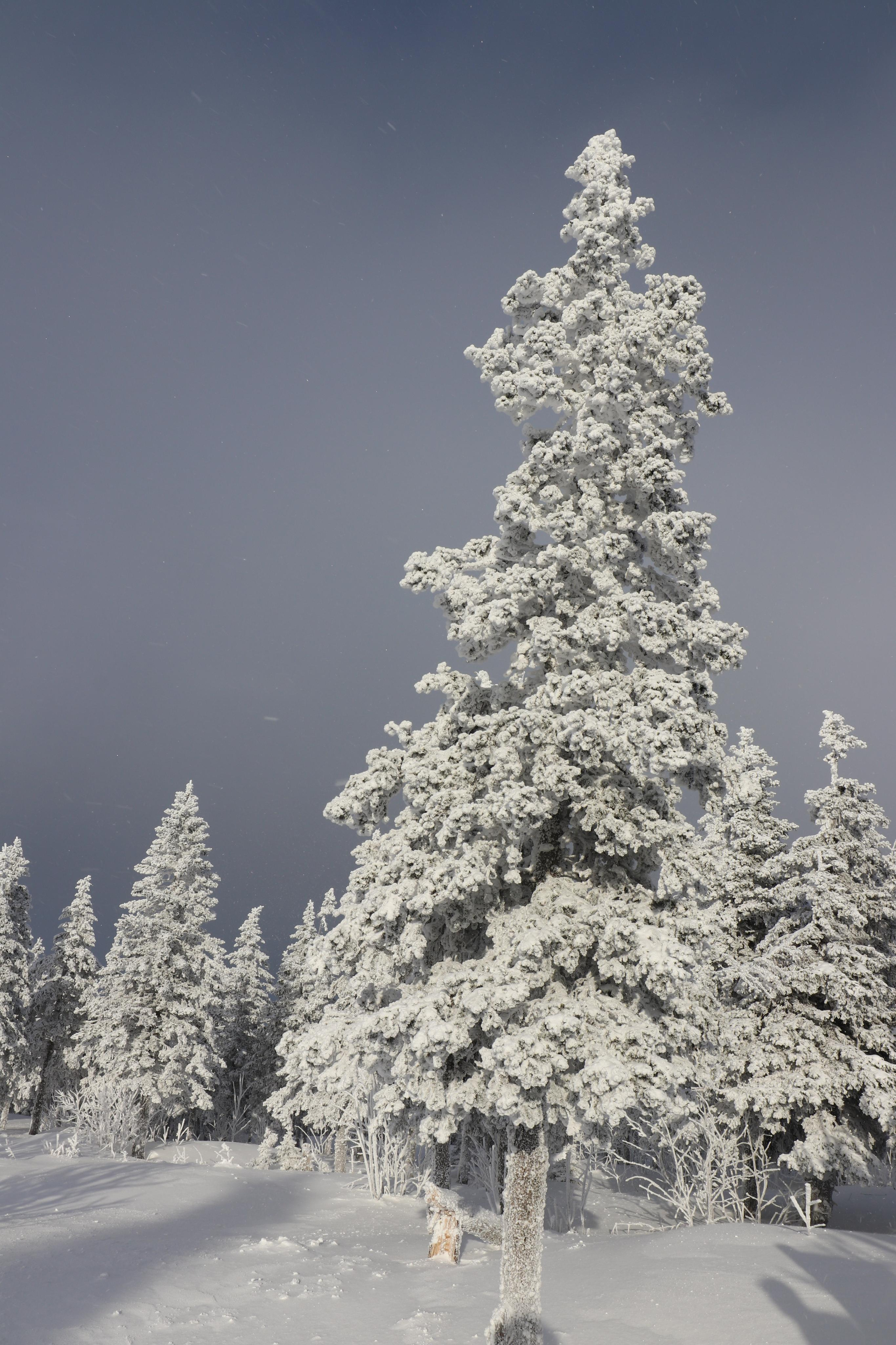 Хребет Большой Таганай. Путешественник-фотограф из Санкт-Петербурга Татьяна Свистулина