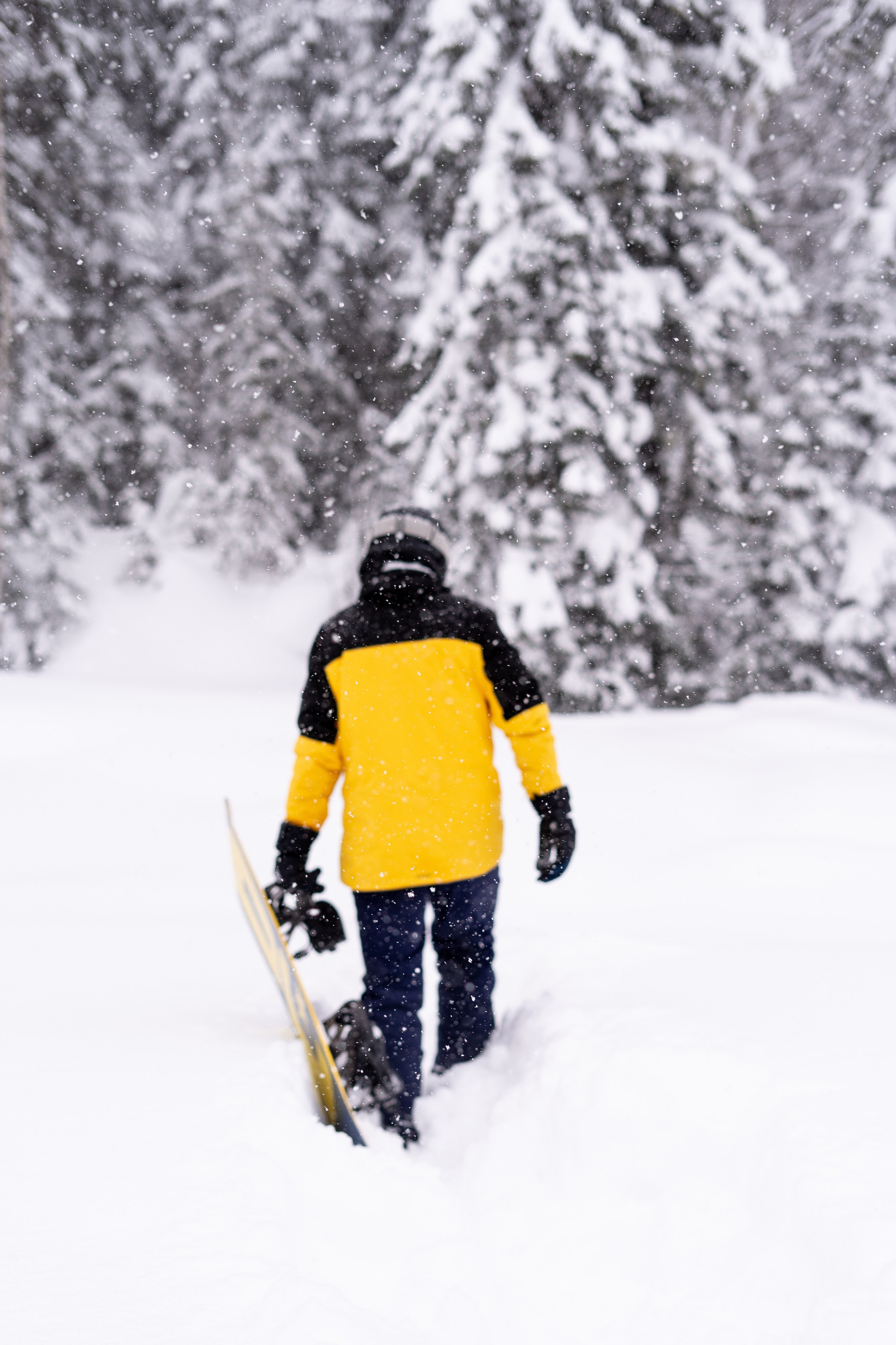 Джон 14.02. Анастасия Паршукова — фотограф Шерегеш Новосибирск