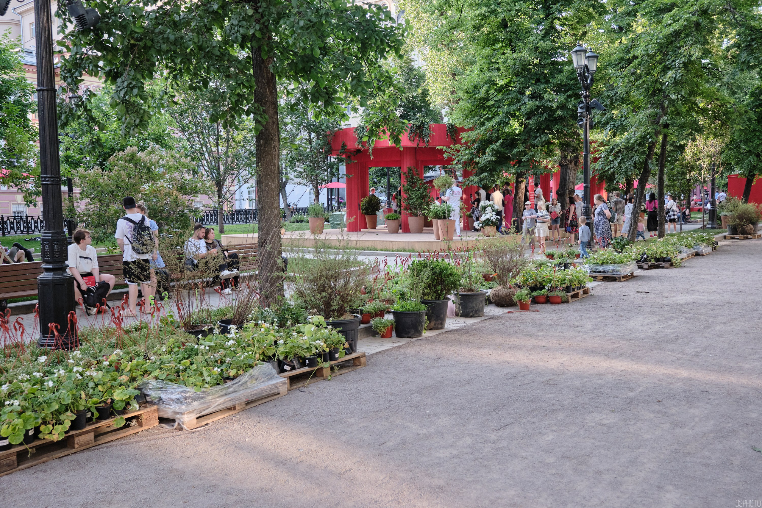 Бульвары для всех l Лето в Москве. Фотографъ Сергѣевъ. Поймать мгновеніе