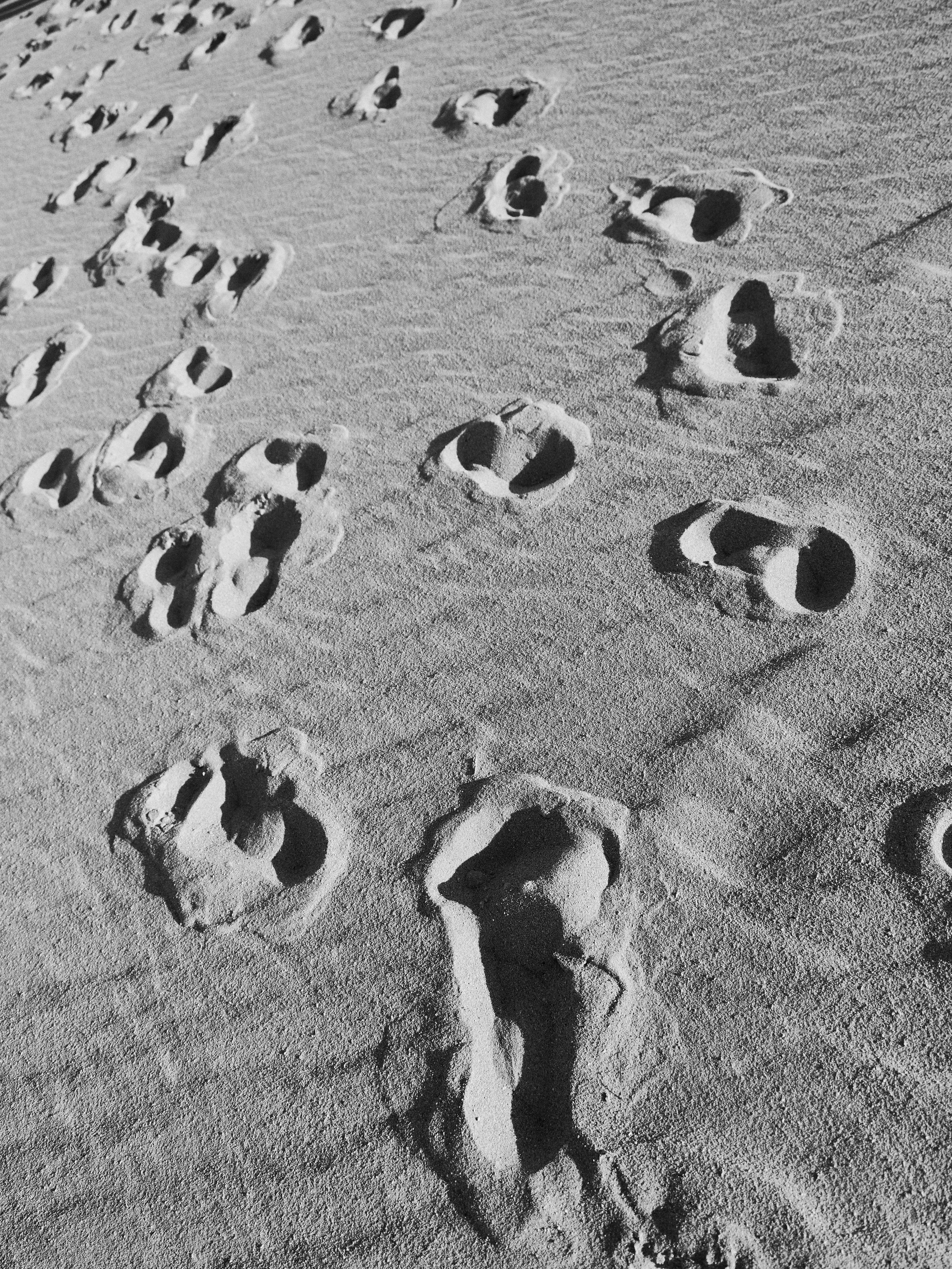 Другое 4. Jorgis — фотограф в Хургаде / обучение фотографии