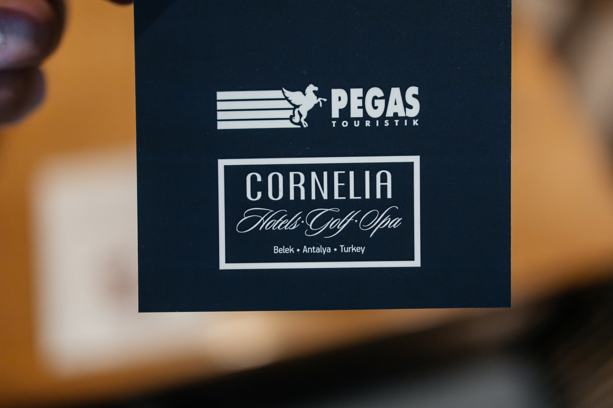 PEGAS Touristik. Самый свадебный фотограф