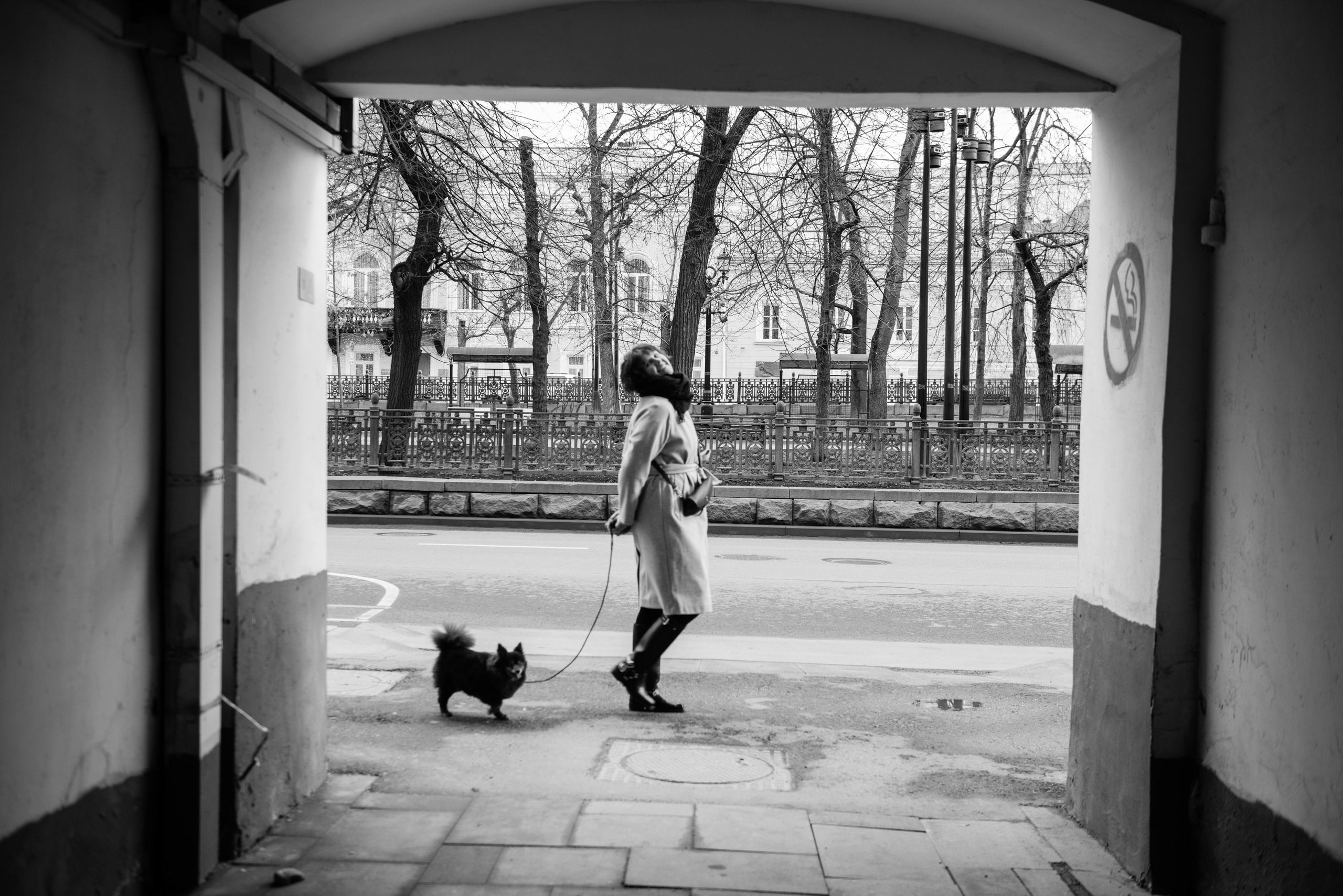 Фотопрогулка Катя Юшина и Дакота. Арт фотограф