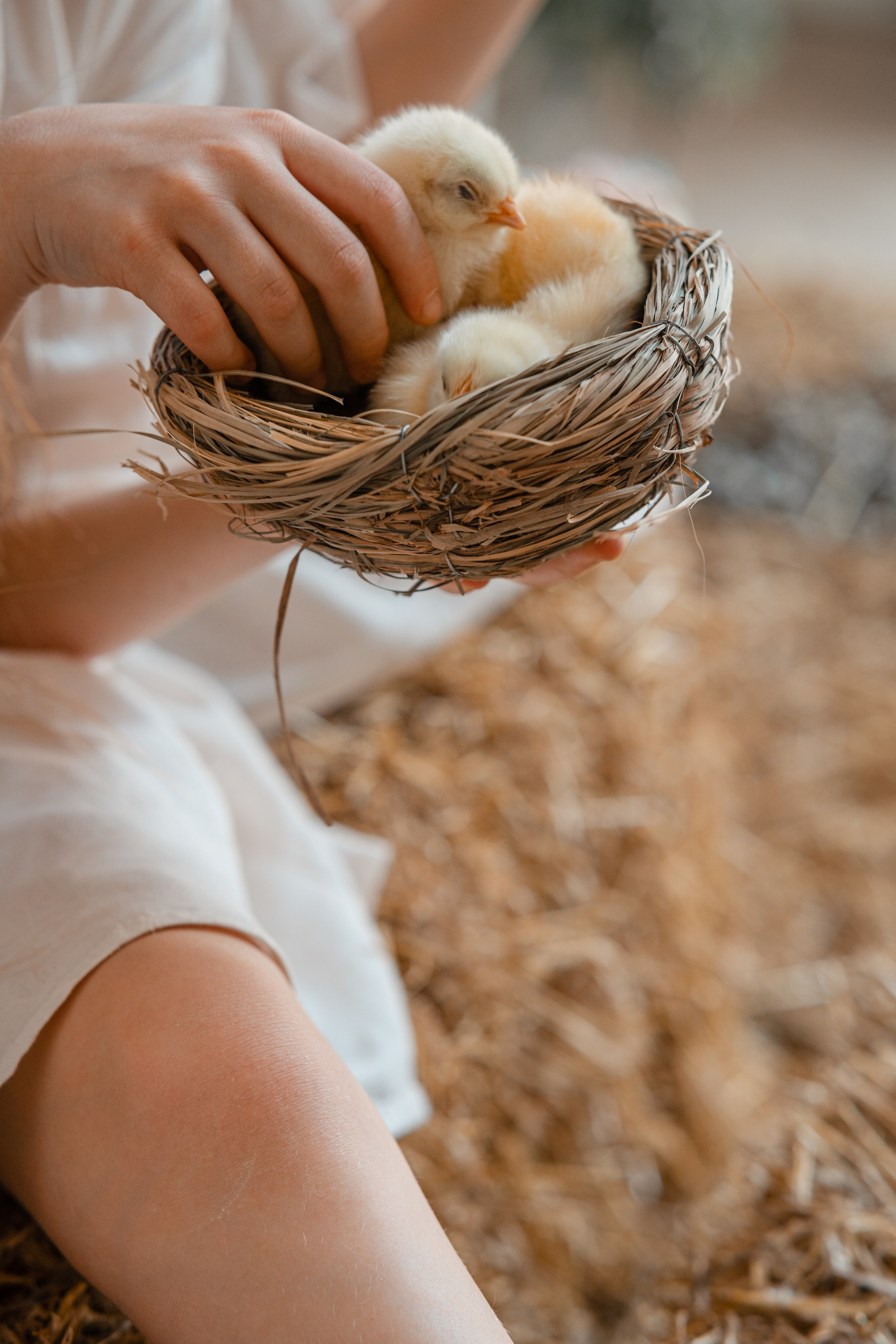 Студия. Фотограф Мария Зайчик