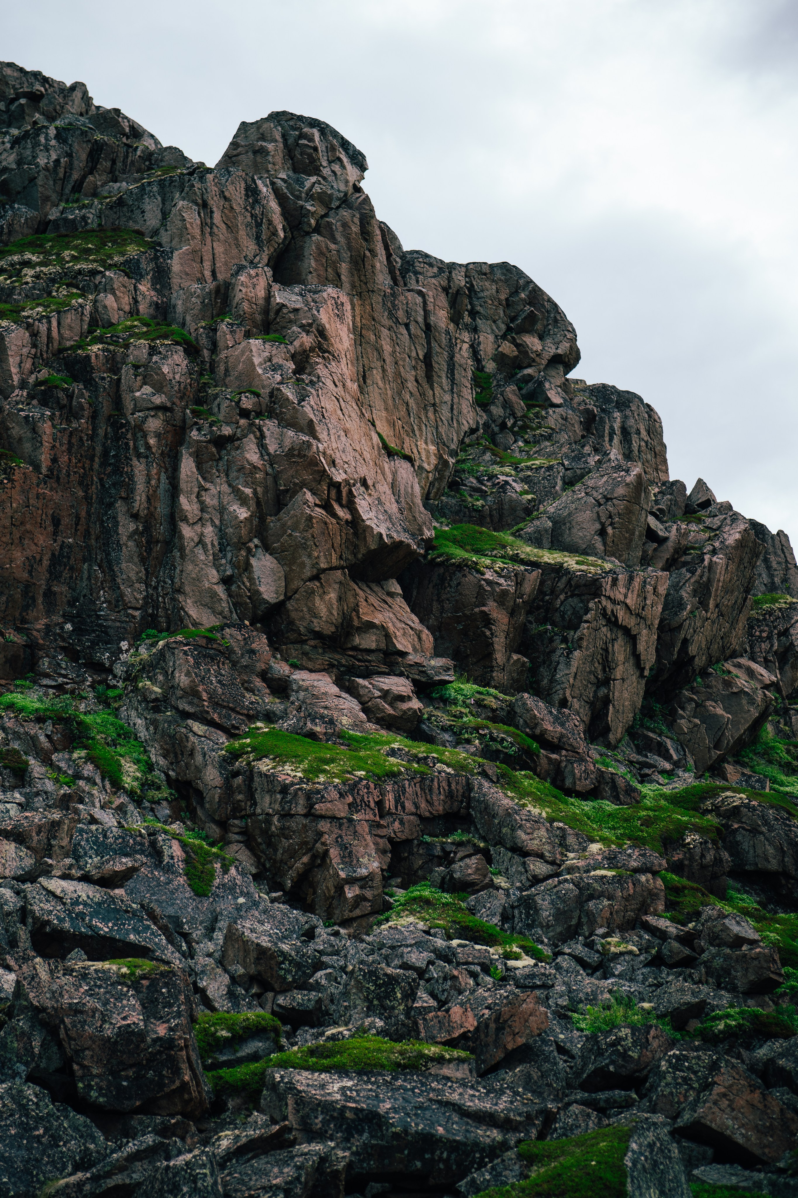 ТЕРИБЕРКА. Создание контента | Фото | Видеосъемка | Александр Ярков