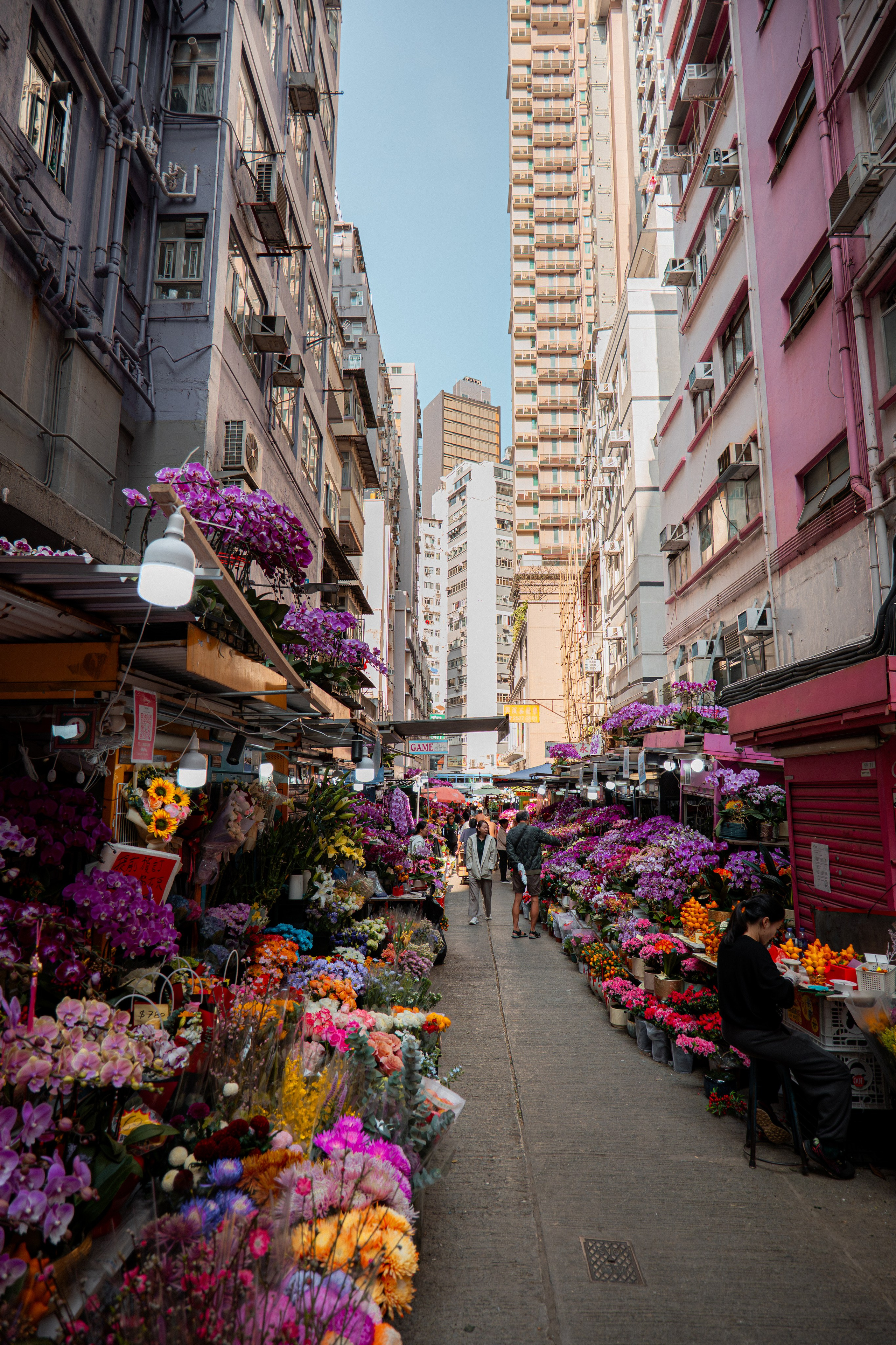 ГОНКОНГ 2026. Фото| Видео продакшн | Александр Ярков