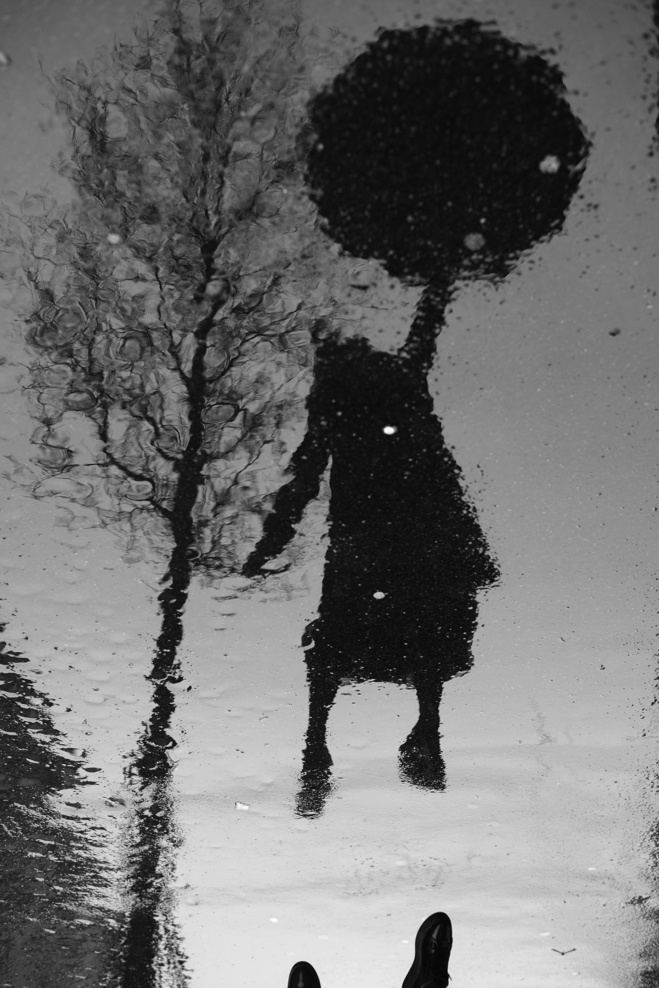 Paris | Winter. Bekagaev photography