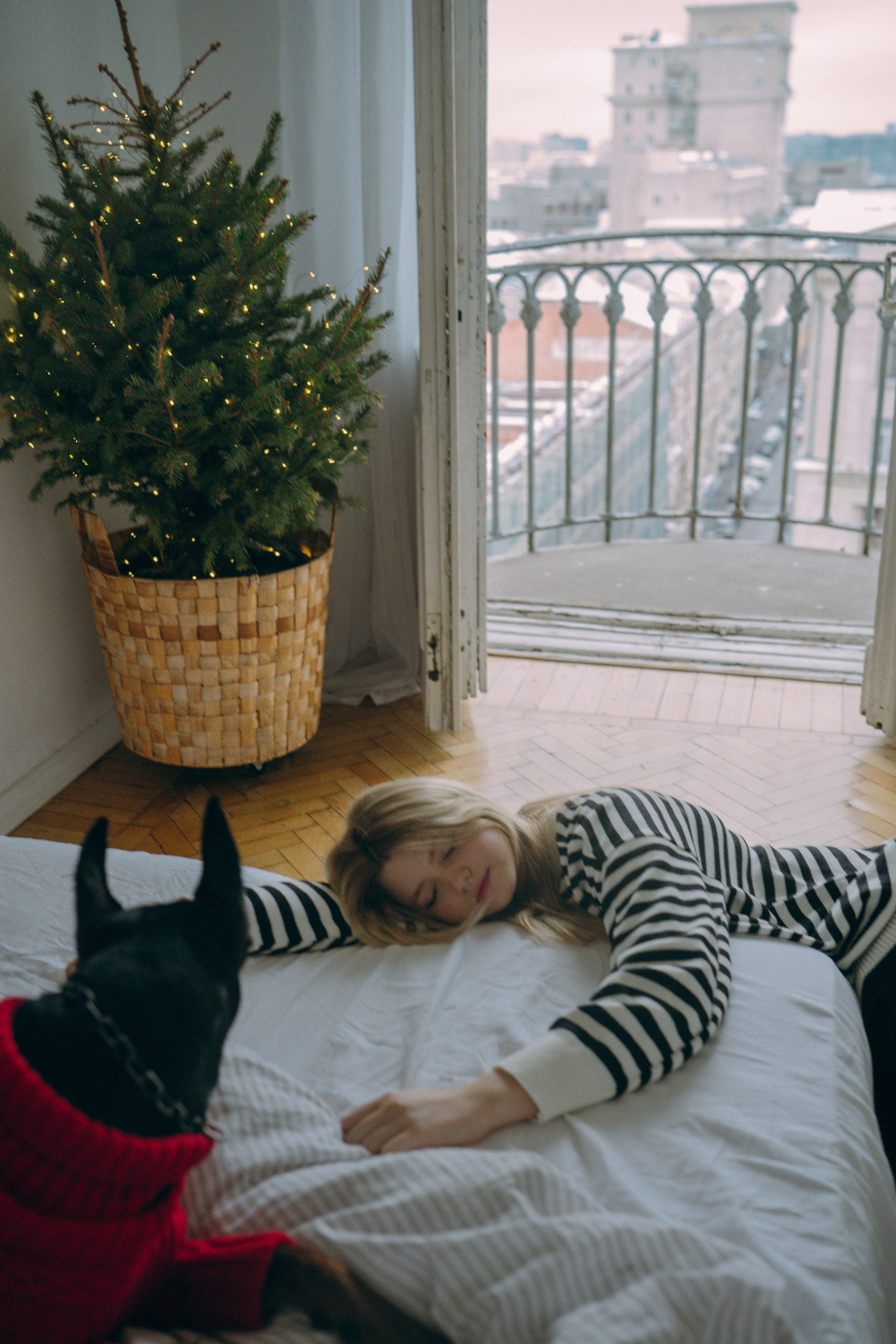 Саша и Асти. Фотограф анималист в Москве и Санкт-Петербурге Свиридова Анна