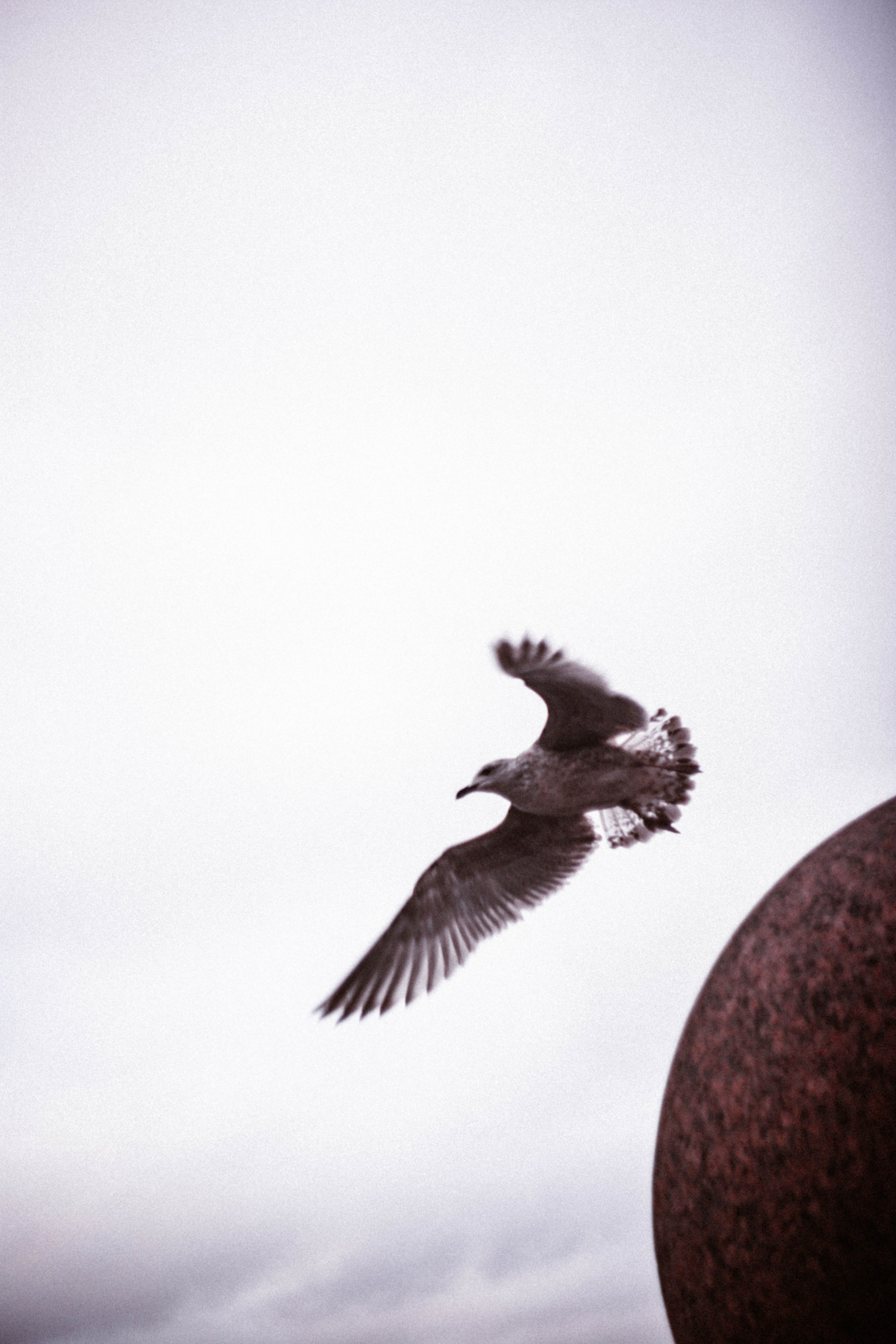 Питер / 24. Фотограф в Нижнем Новгороде