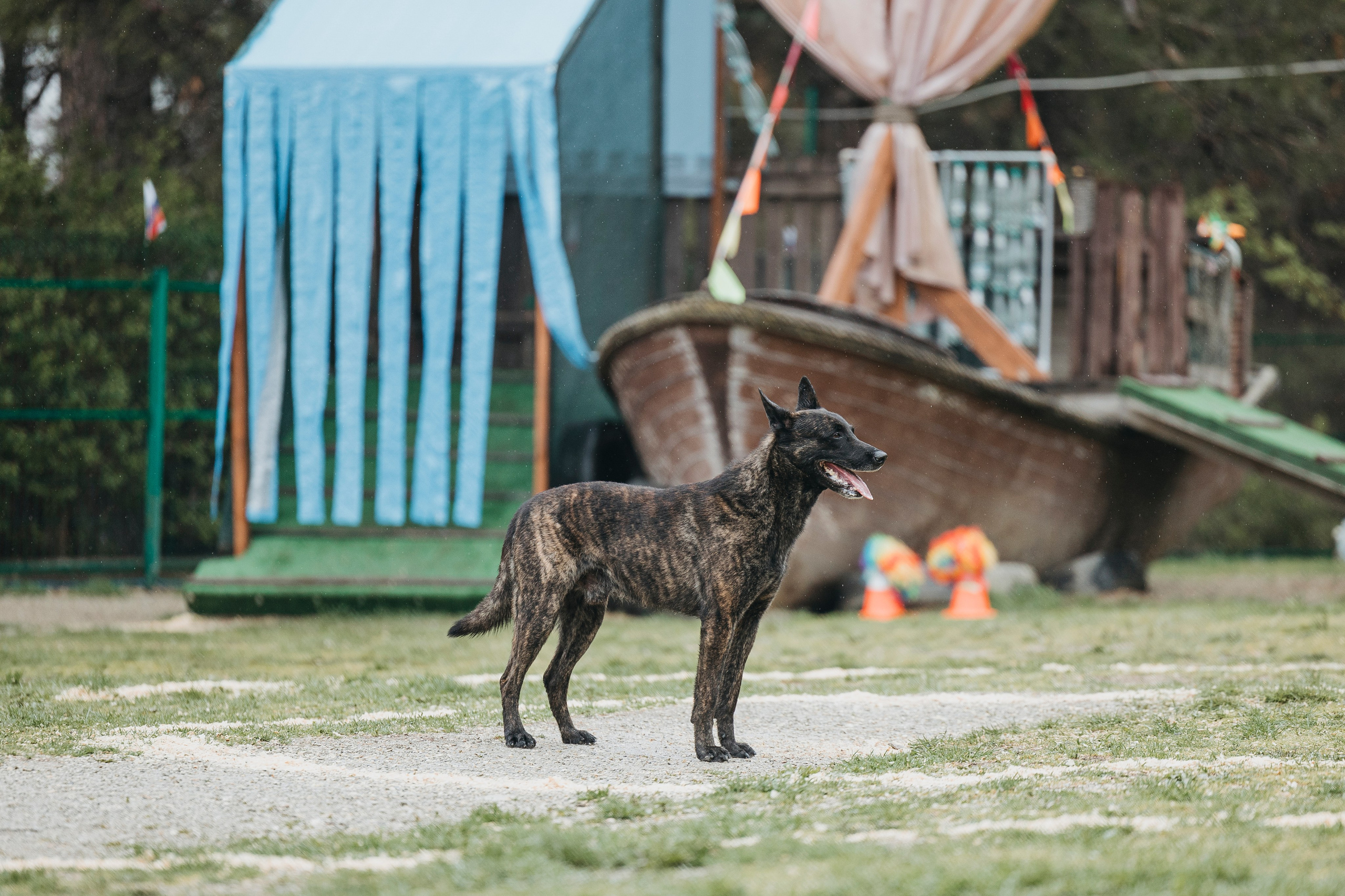 Геленджик Мондьоринг. Фотограф-анималист Анна Маринич