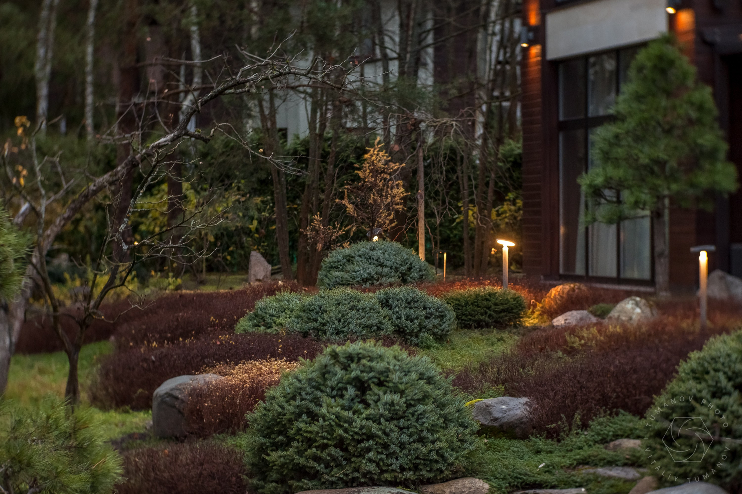 Вечерний сад «Сиреневый туман» (автор: Елена Асташкина). Виталий Туманов — Ландшафтный фотограф