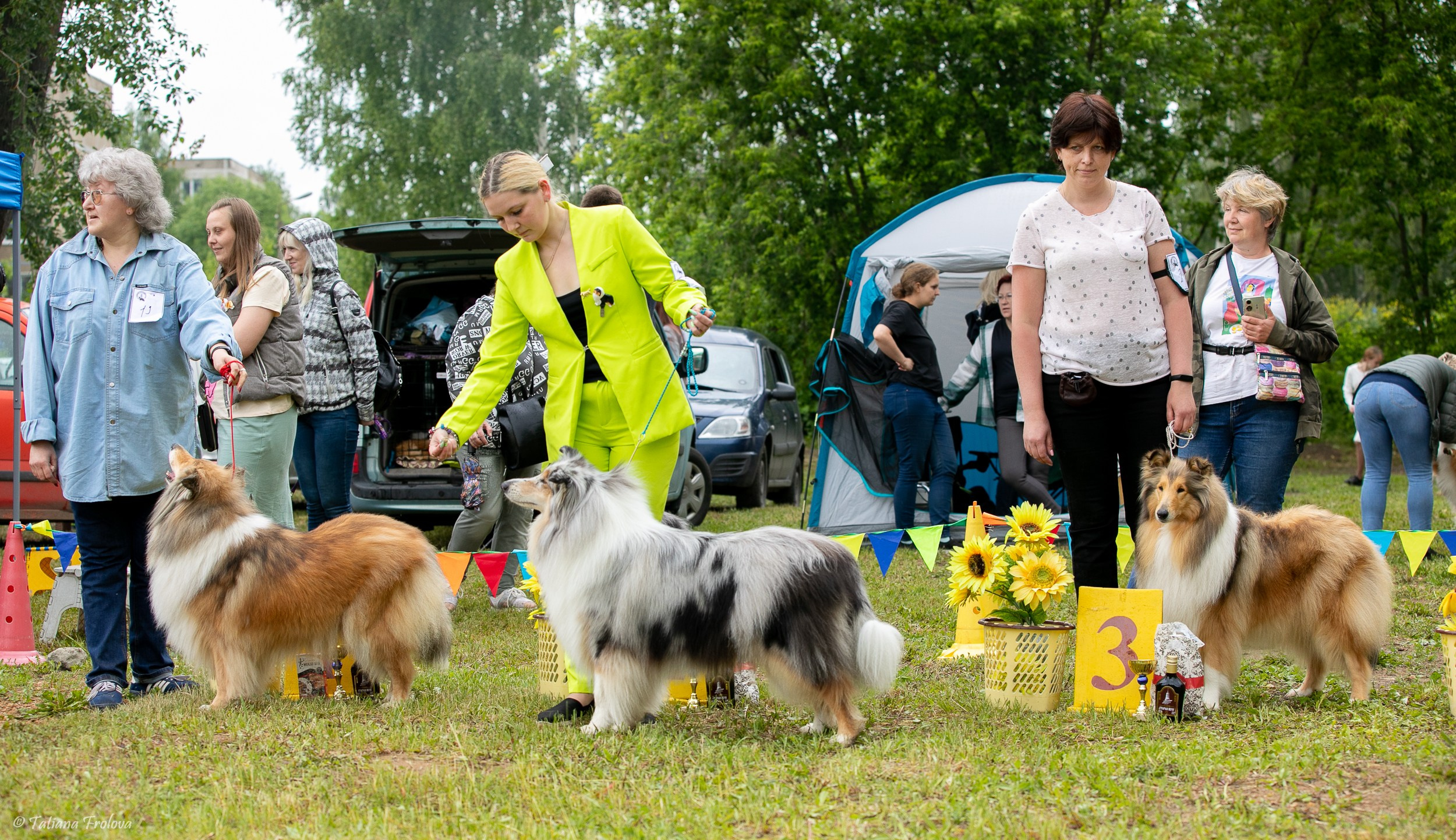 Фотосопровождение выставки собак в Московской области и Москве. Фотограф-анималист в Москве и Московской области Татьяна Фролова