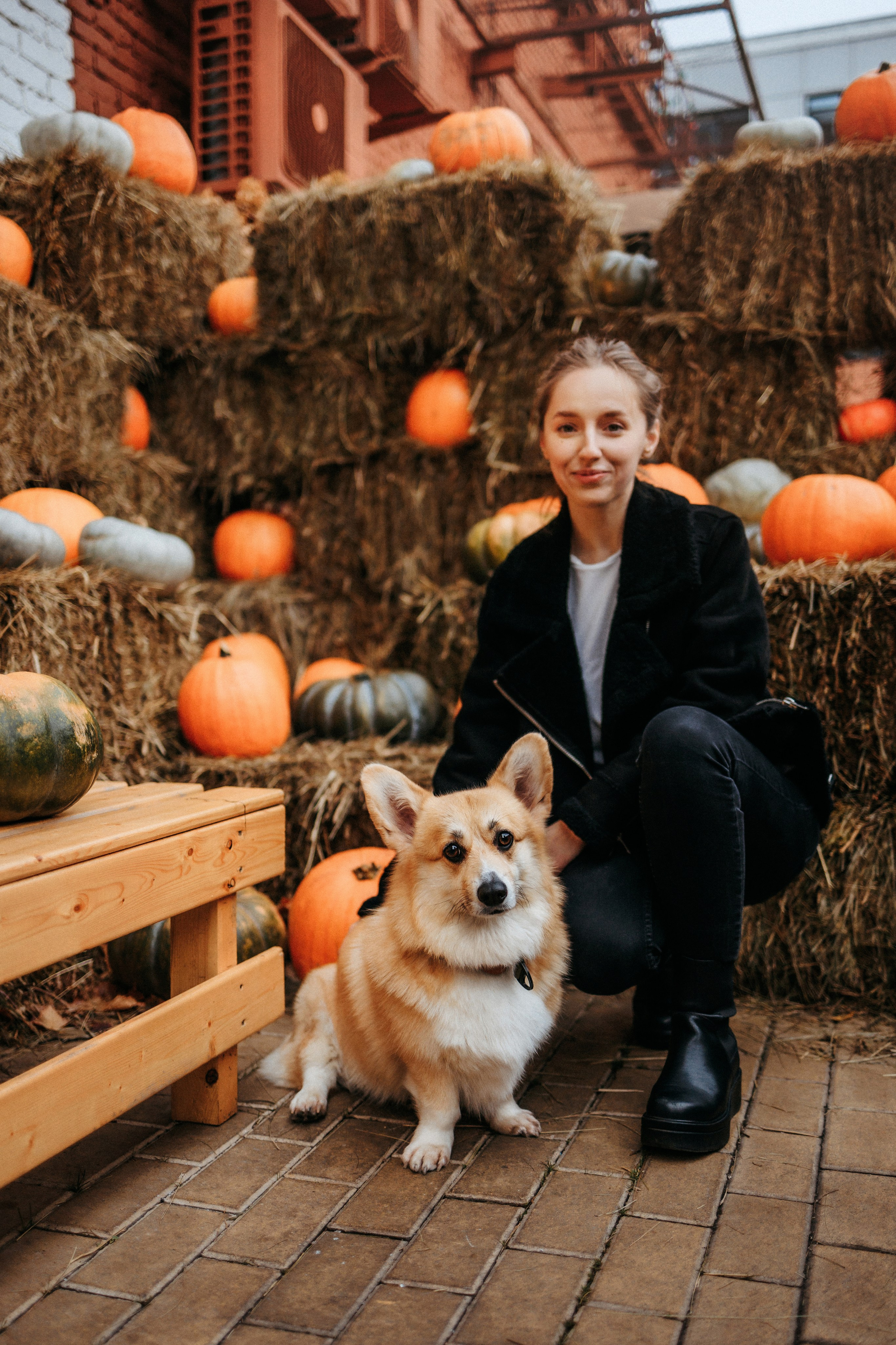 Вера, Саша и Муна. Фотограф-анималист Елена Радченко, Москва