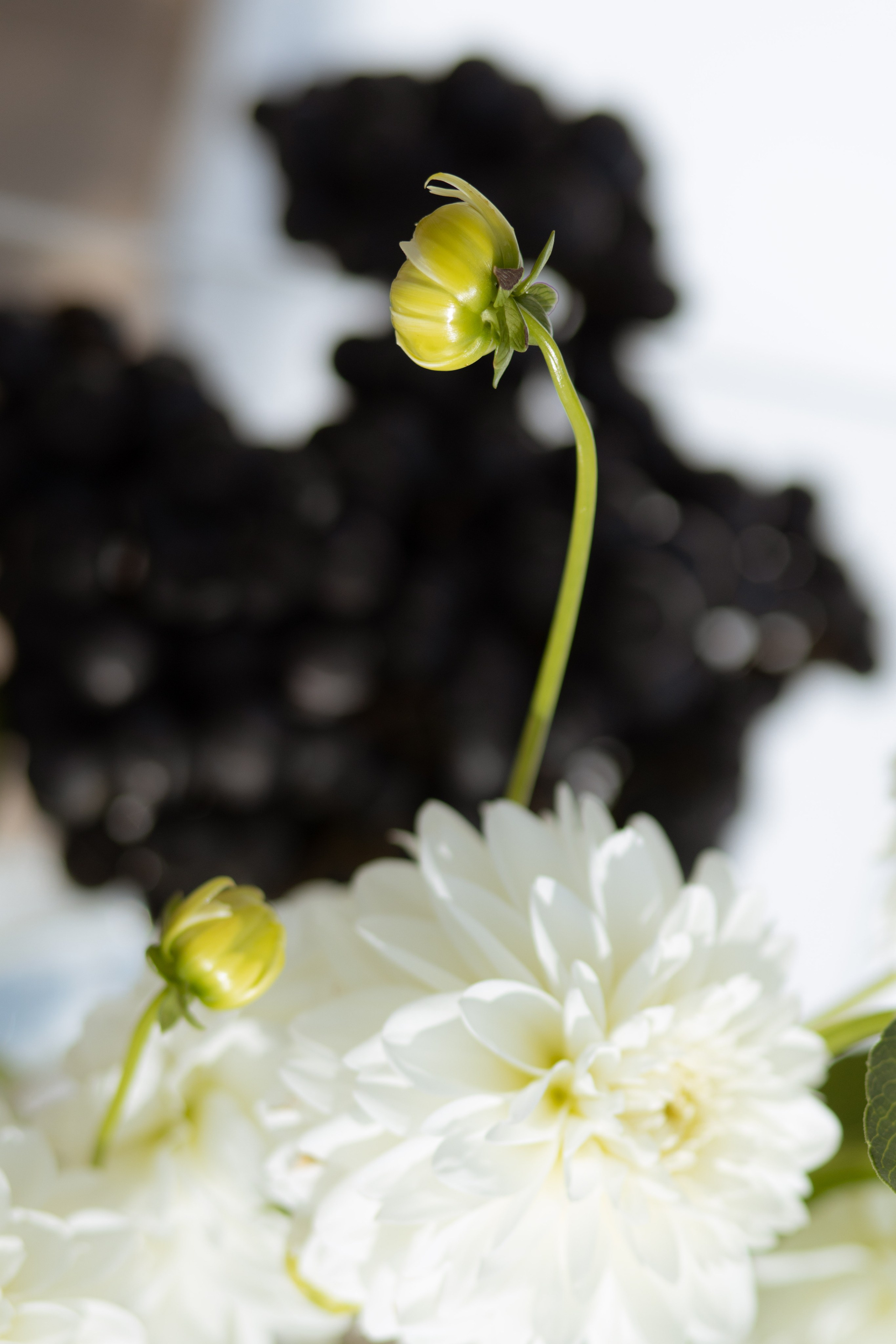 Алина & Андрей. Оформление свадеб, декор свадеб Вера Маркова, Москва