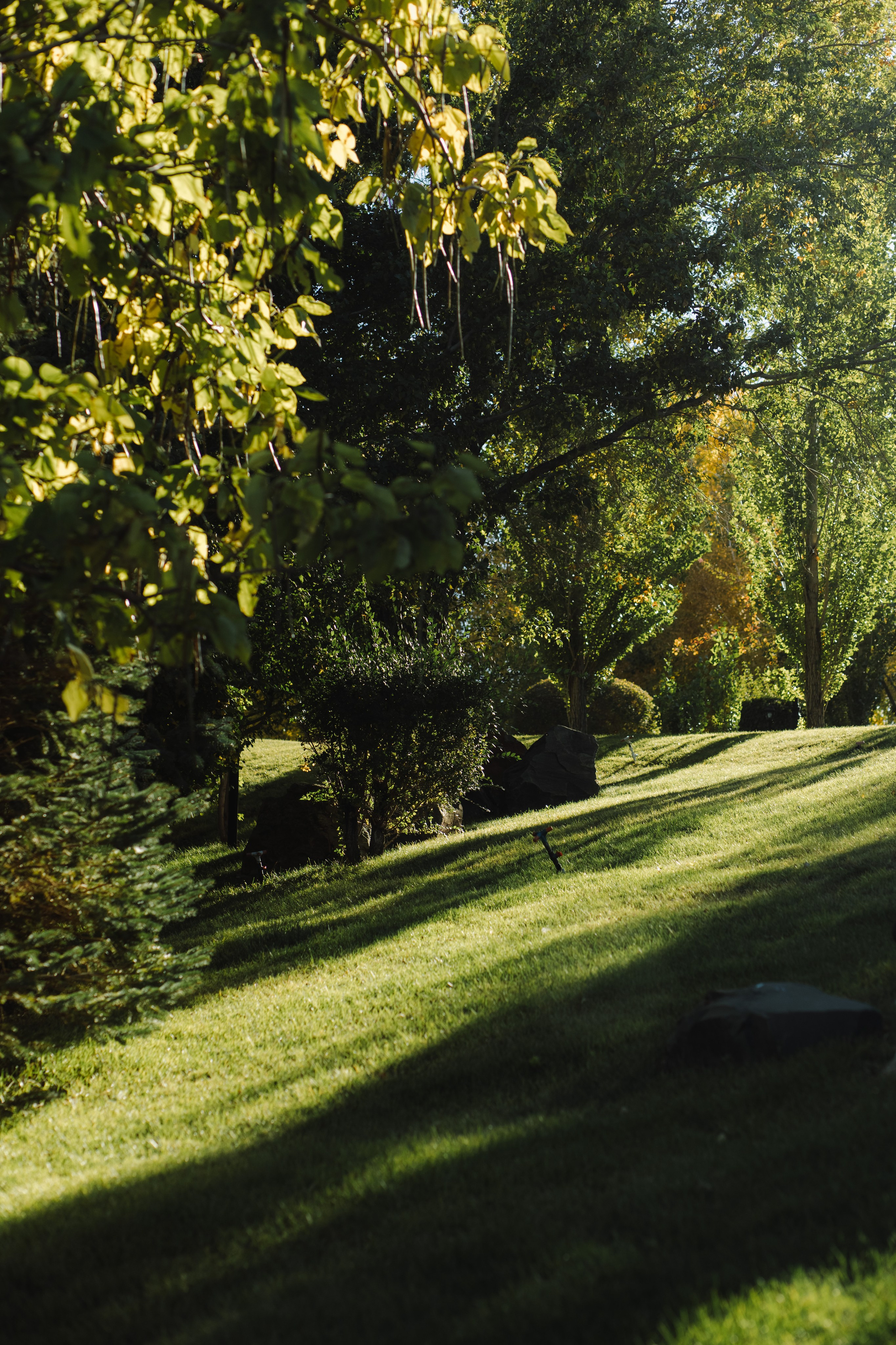 В зеленом саду. Shakhmanoff.kz