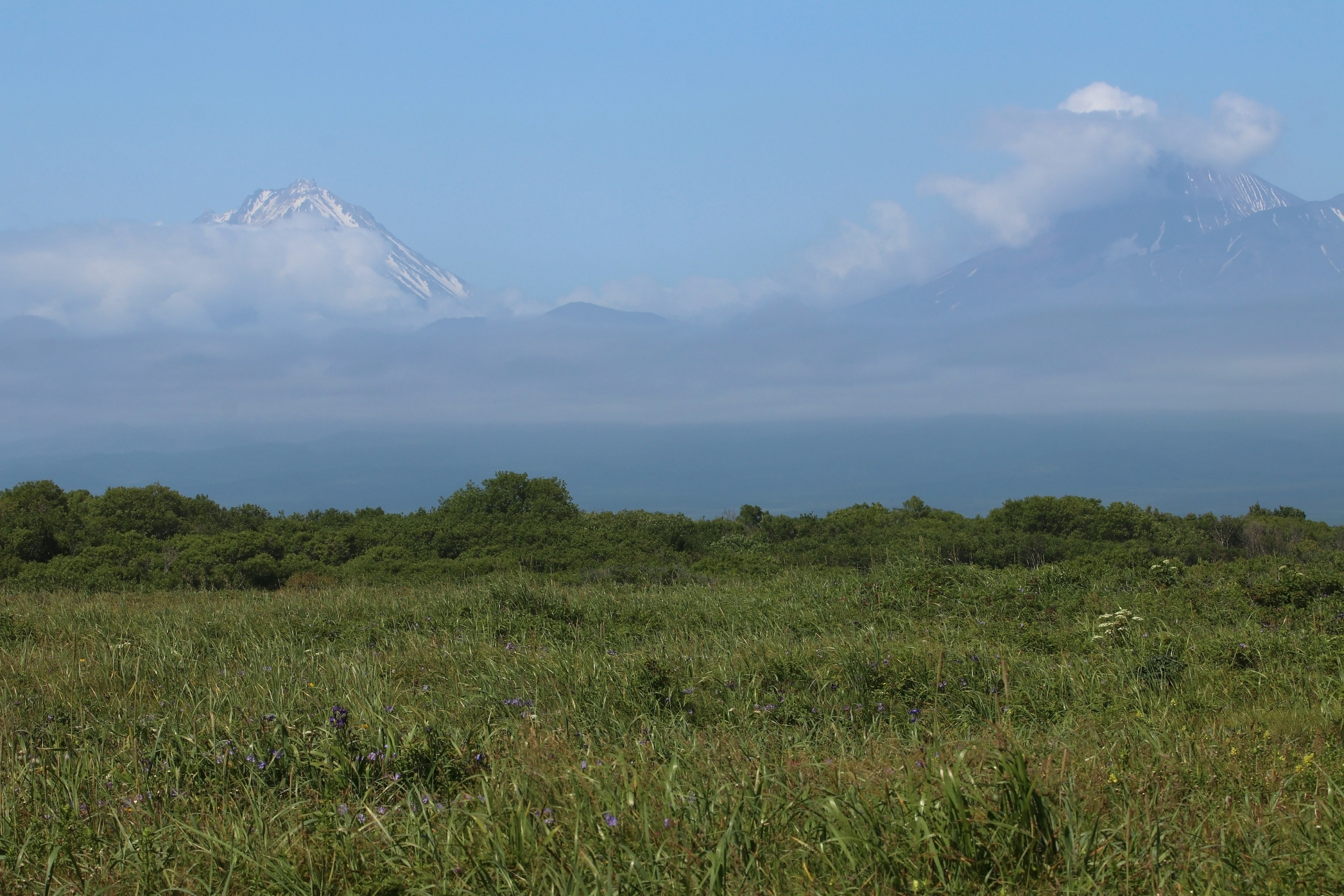 Камчатка и о. Парамушир. Июль 2024. Путешественник-фотограф из Санкт-Петербурга Татьяна Свистулина