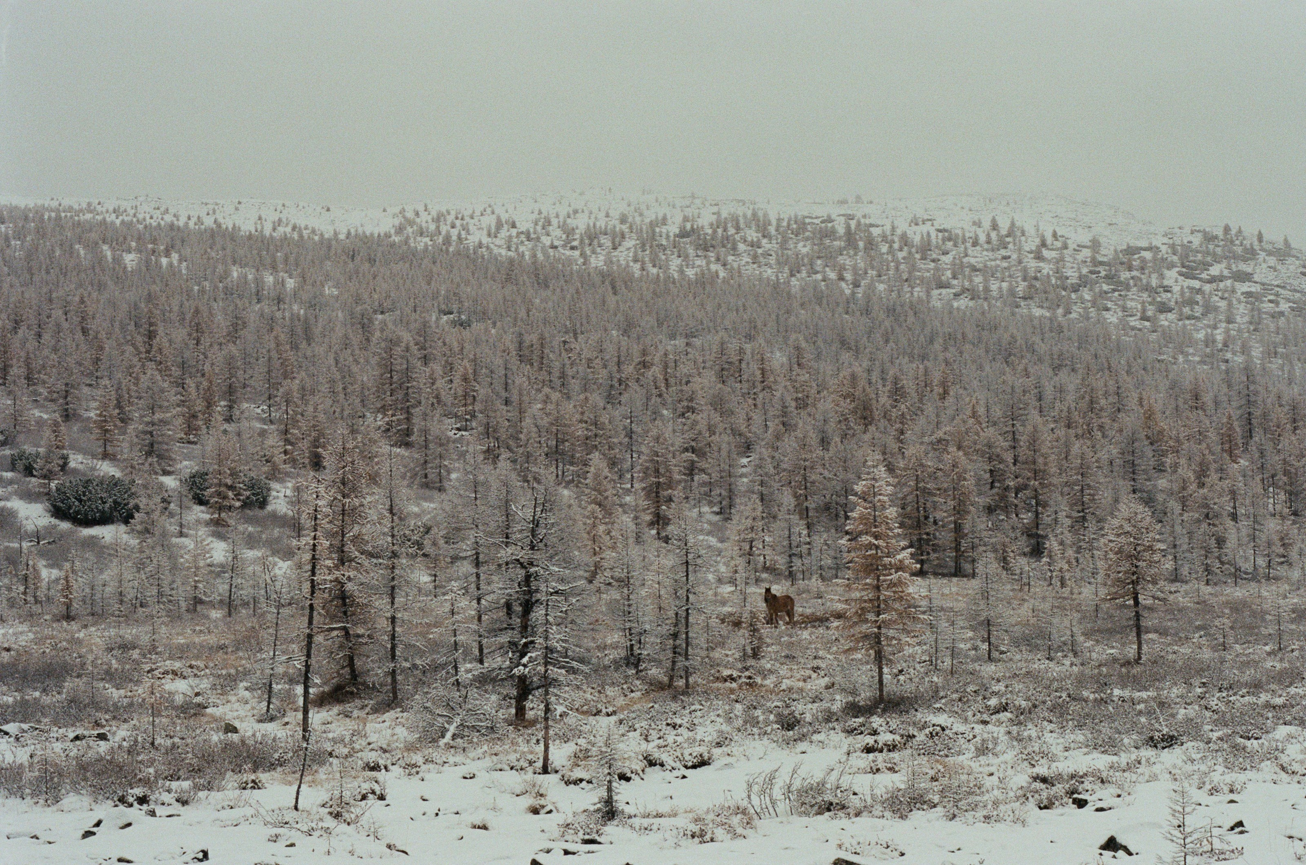 Не забудь накормить озеро. Natalya Madilyan