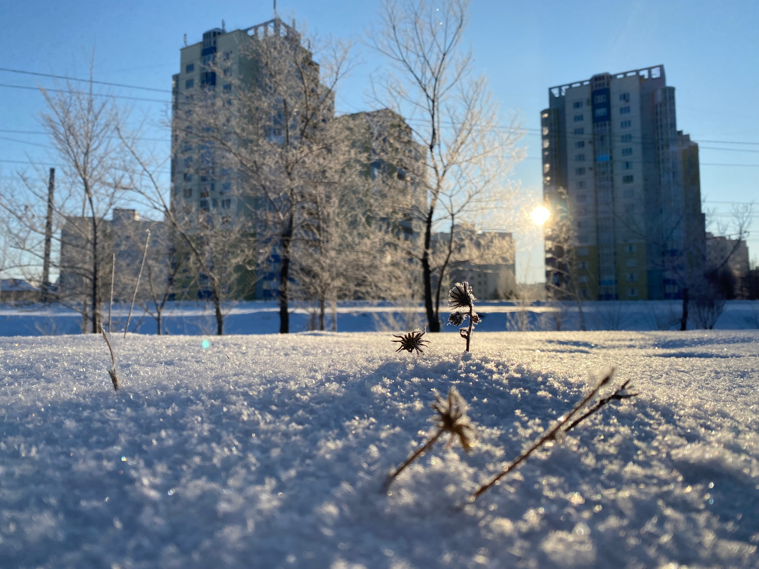 Уличная фотография
