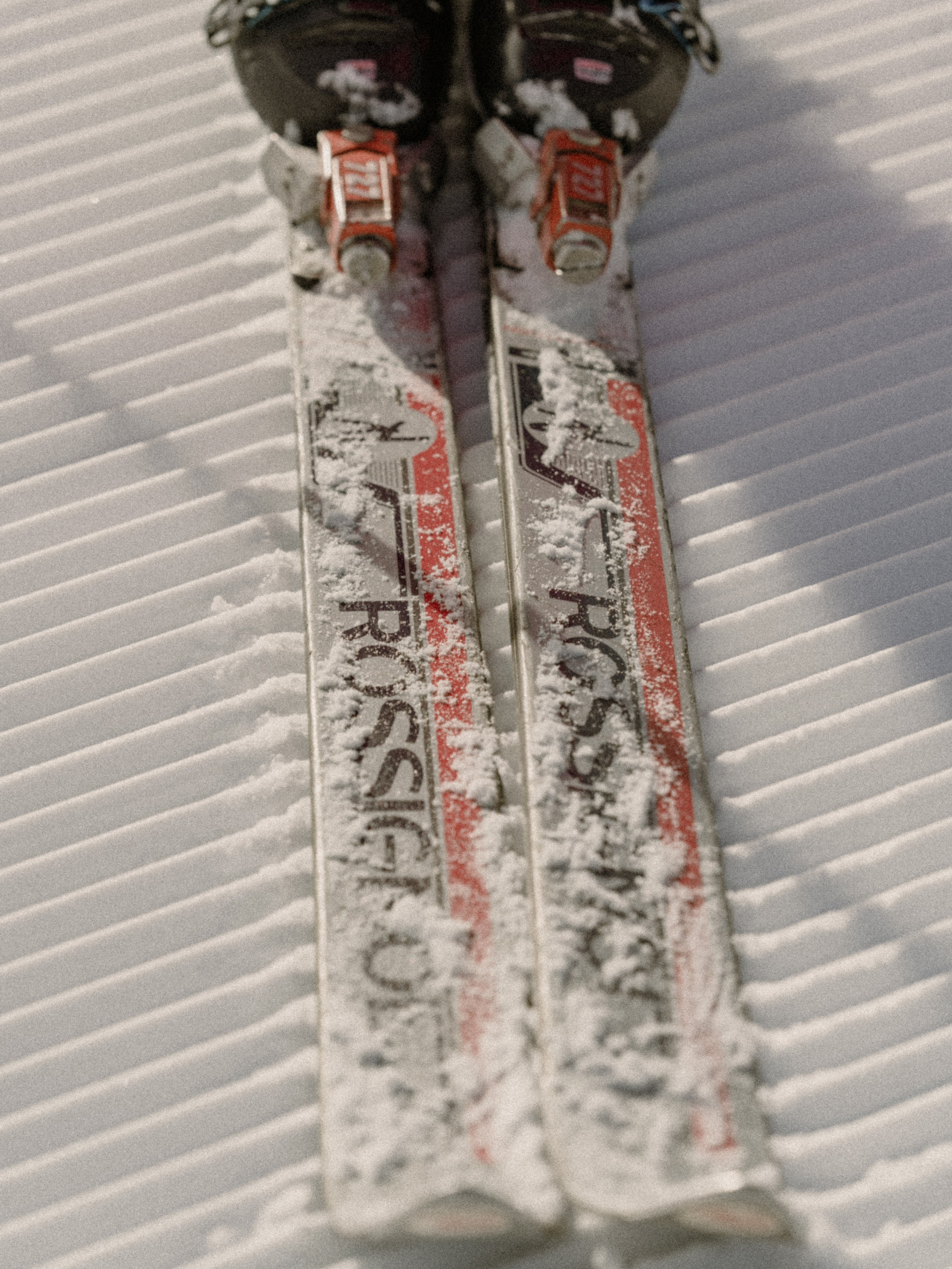 Анна. Репортажный фотограф в Красной Поляне и Сочи Павлюченко Екатерина