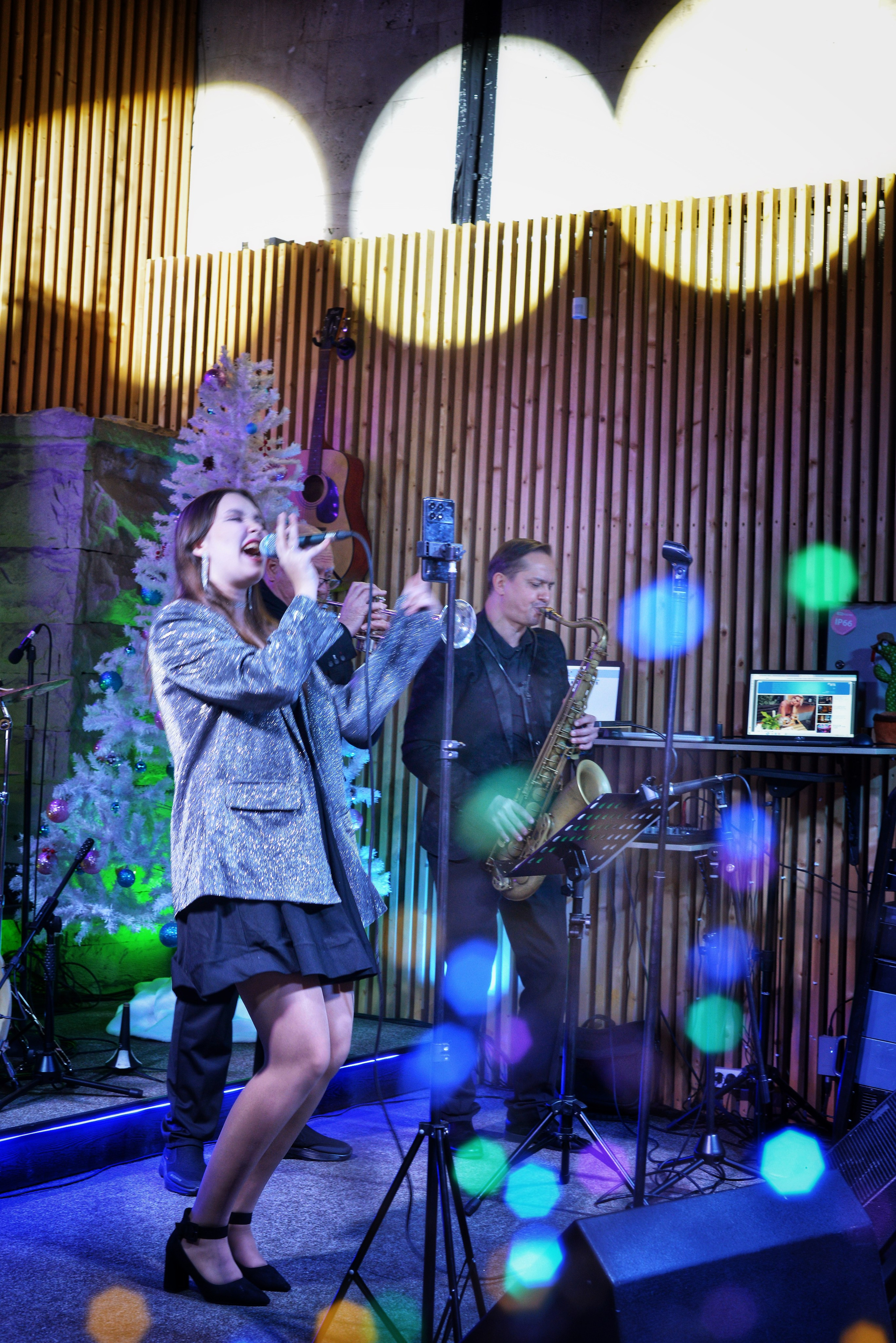 Концерты. Фотограф • Елена Миронова