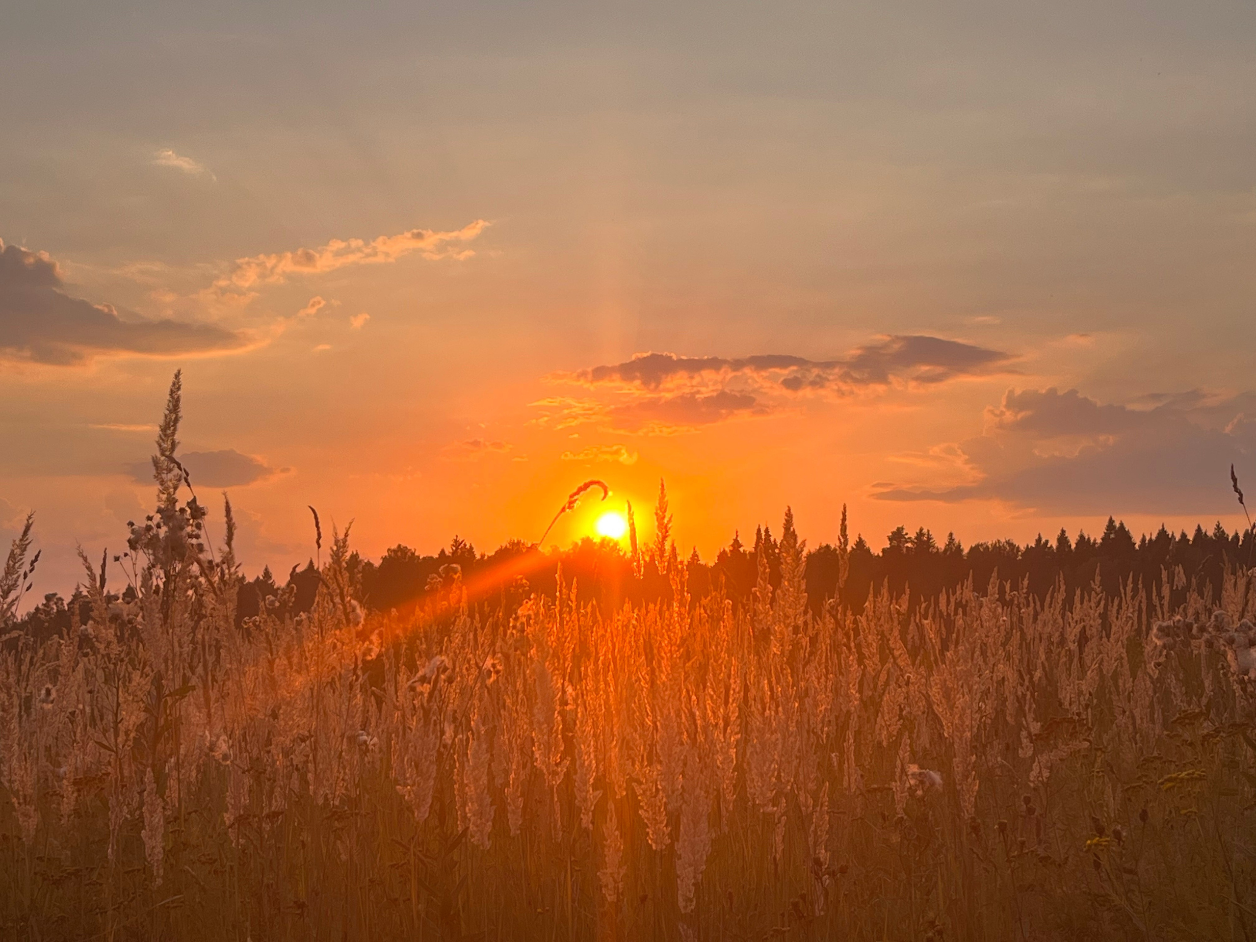 Автор: Анастасия Лапшина