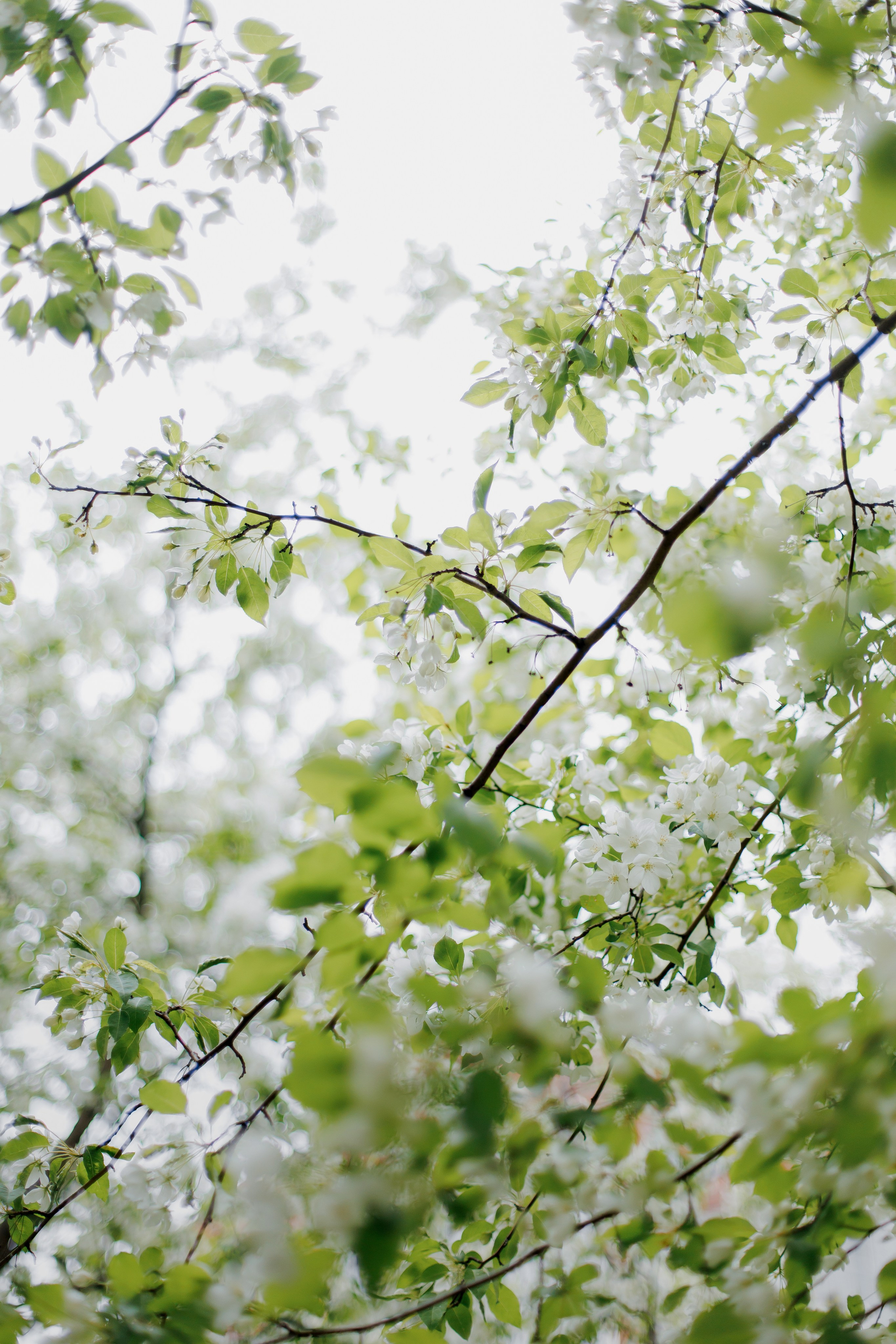 Таня и Анюта. Свадебный и портретный фотограф в Миассе Филиппенко Дарья