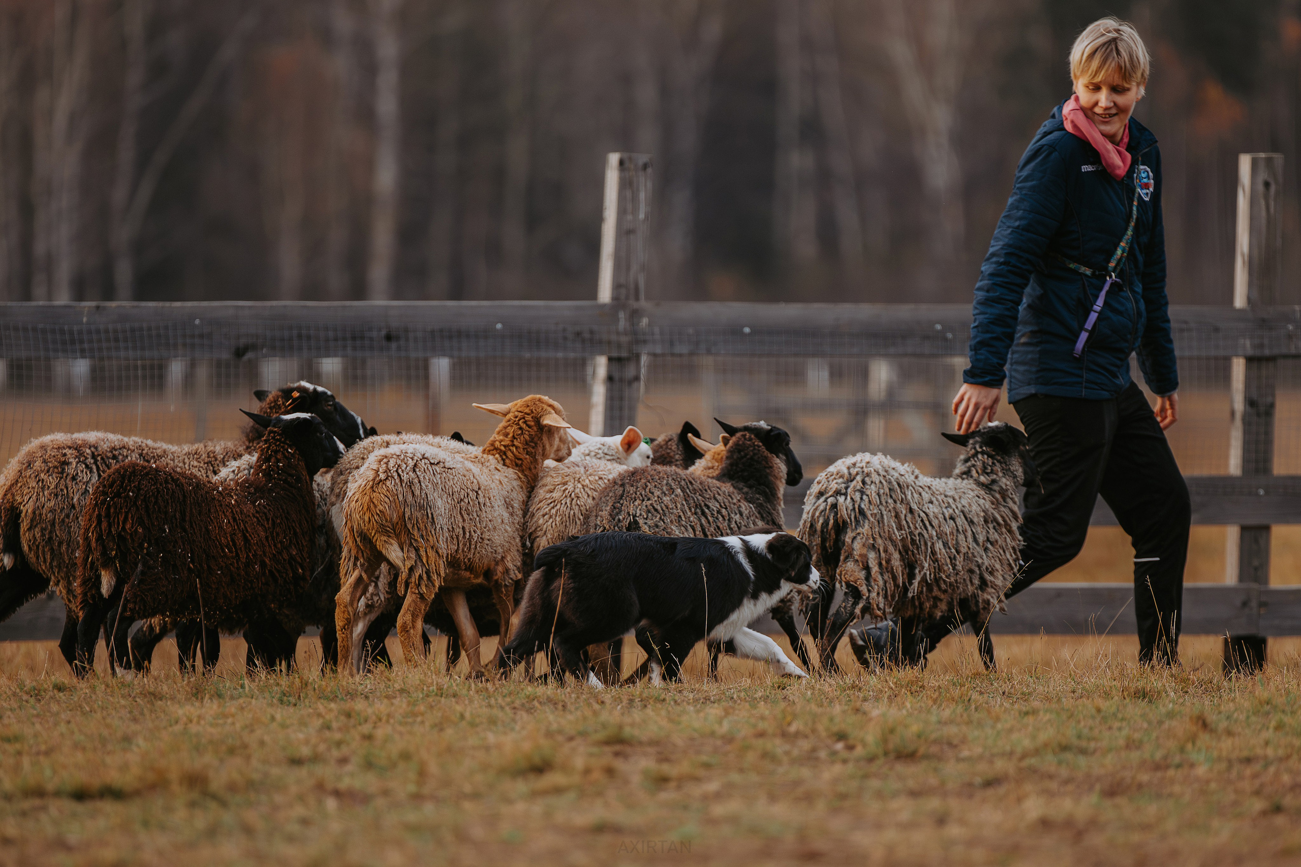 Кубрау. BLGKV питомник собак