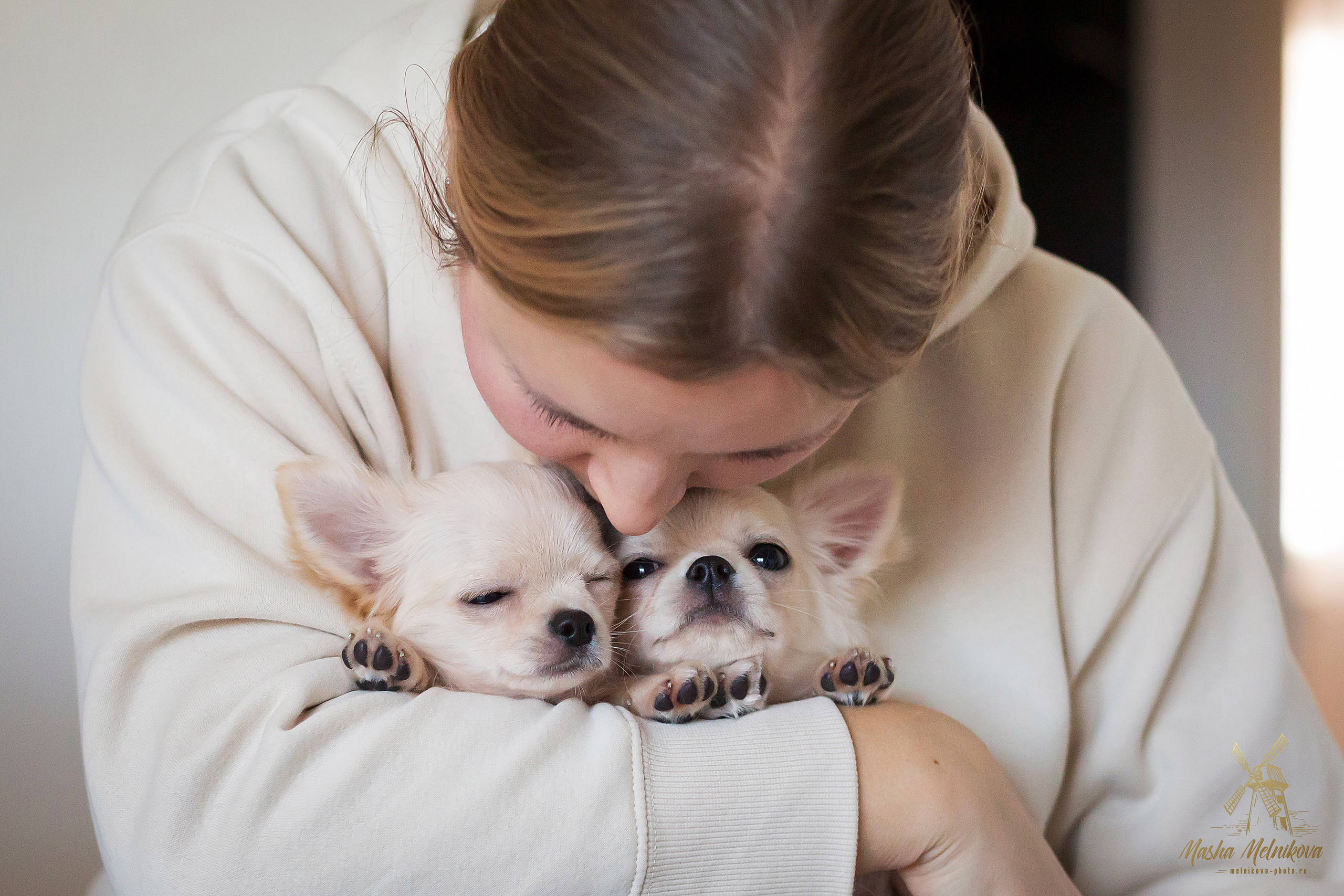 Фотосъёмка щенков. Фотограф-анималист в Краснодаре Маша Мельникова