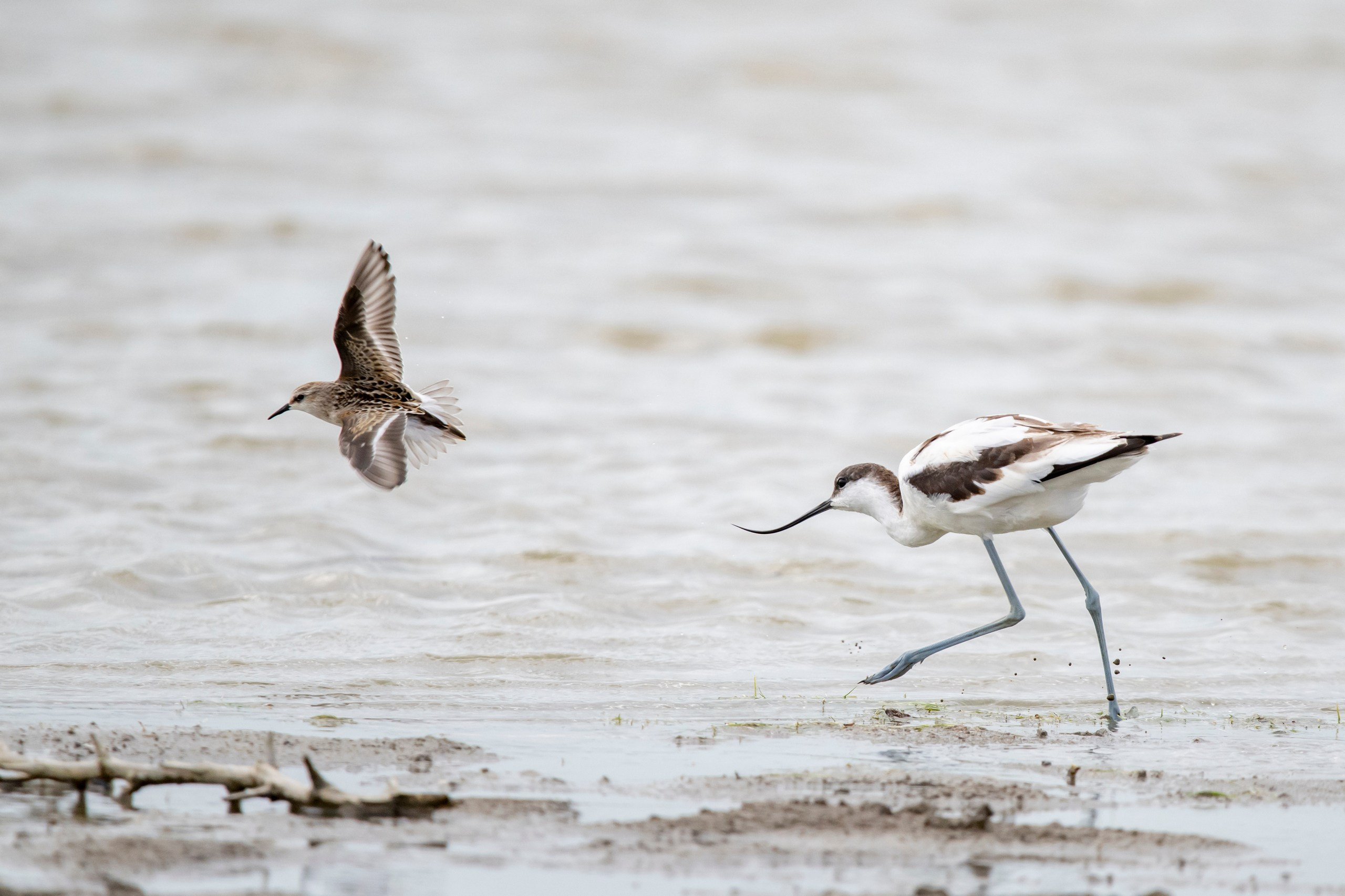 Природа Дагестана, сентябрь 2024. Foto-Zuev фотография как искусство